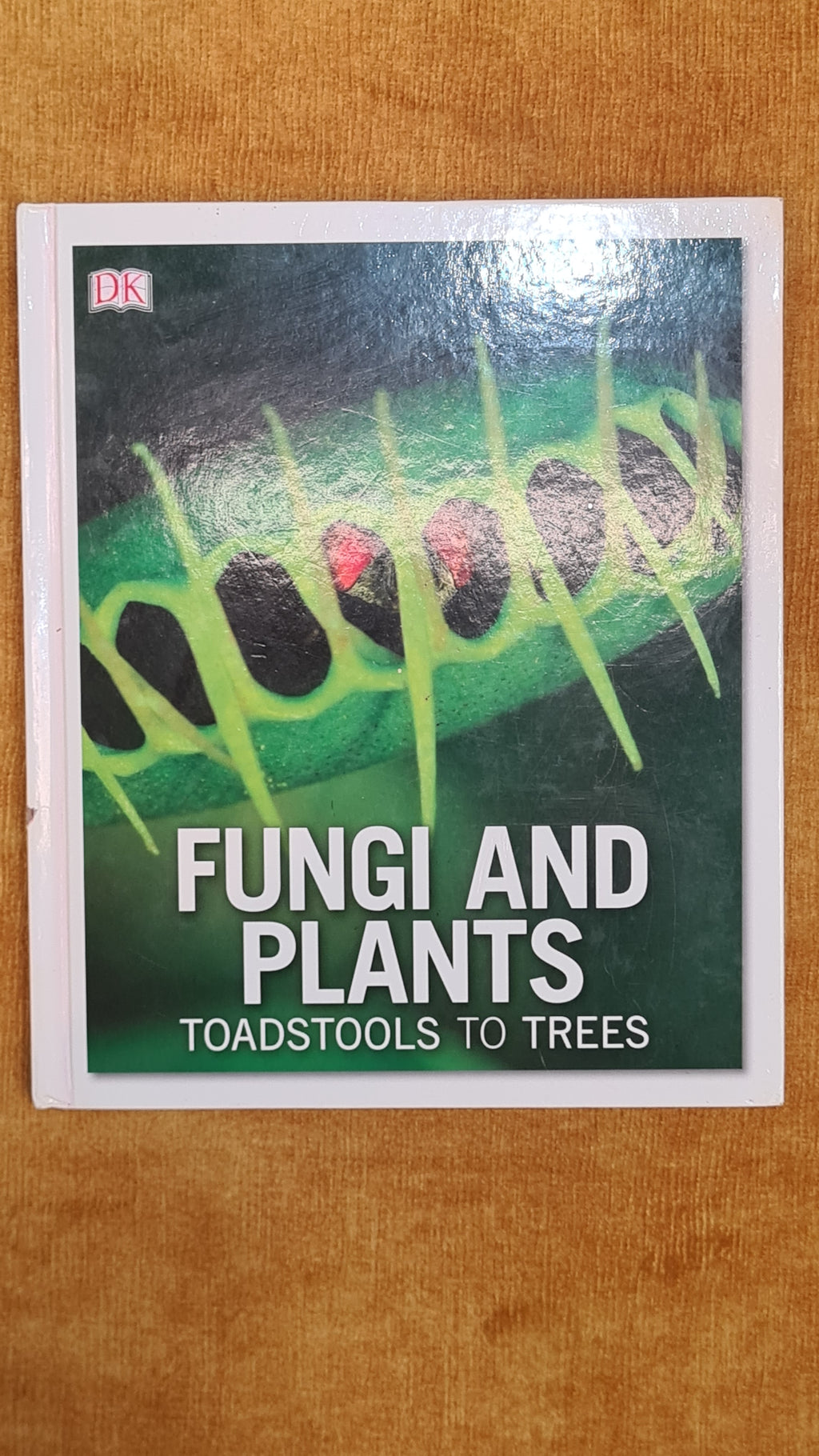 Fungi and plants: Mushrooms to Trees
