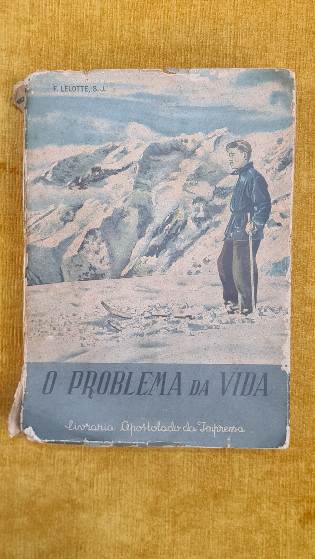 O problema da vida