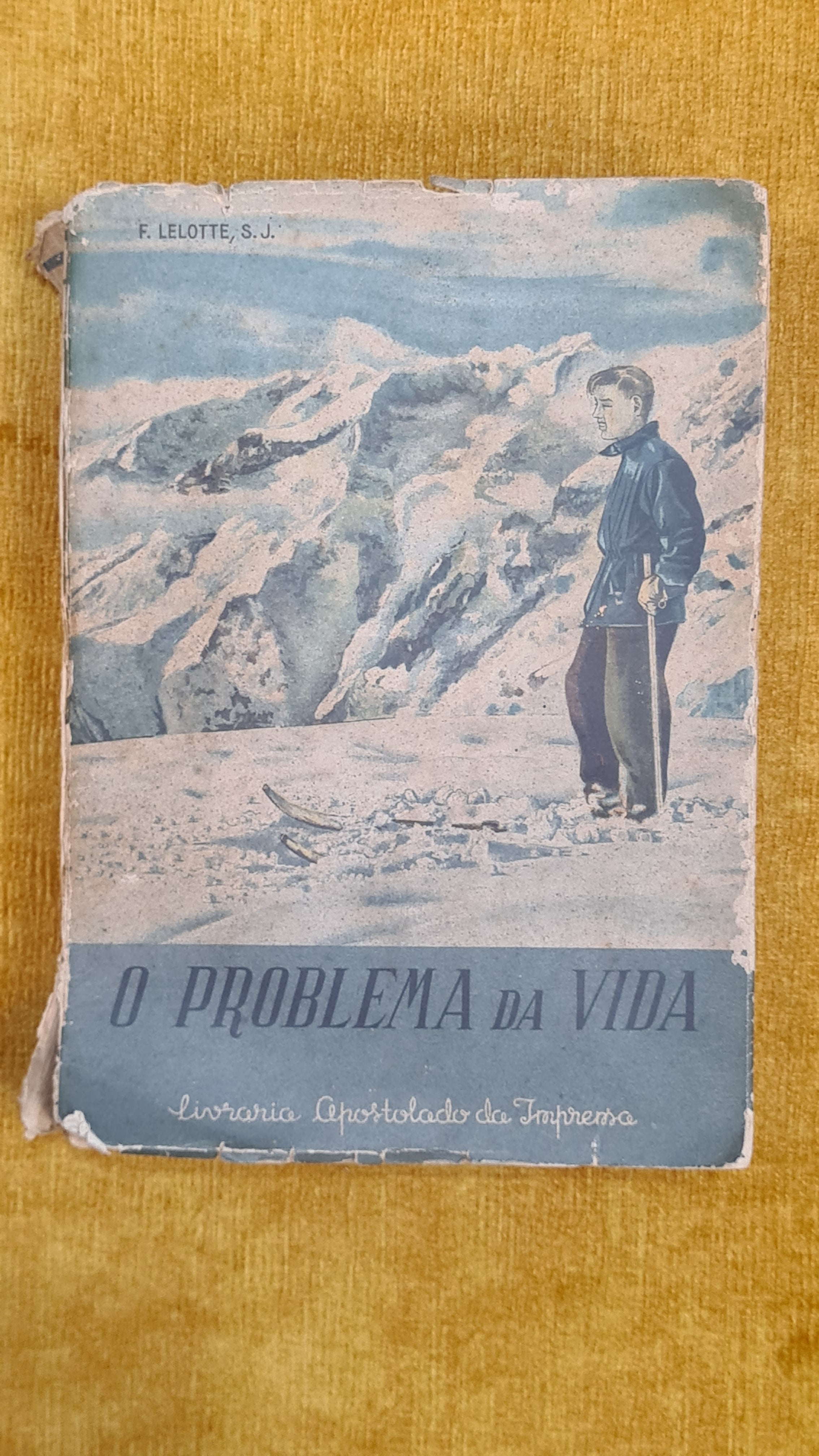 O problema da vida
