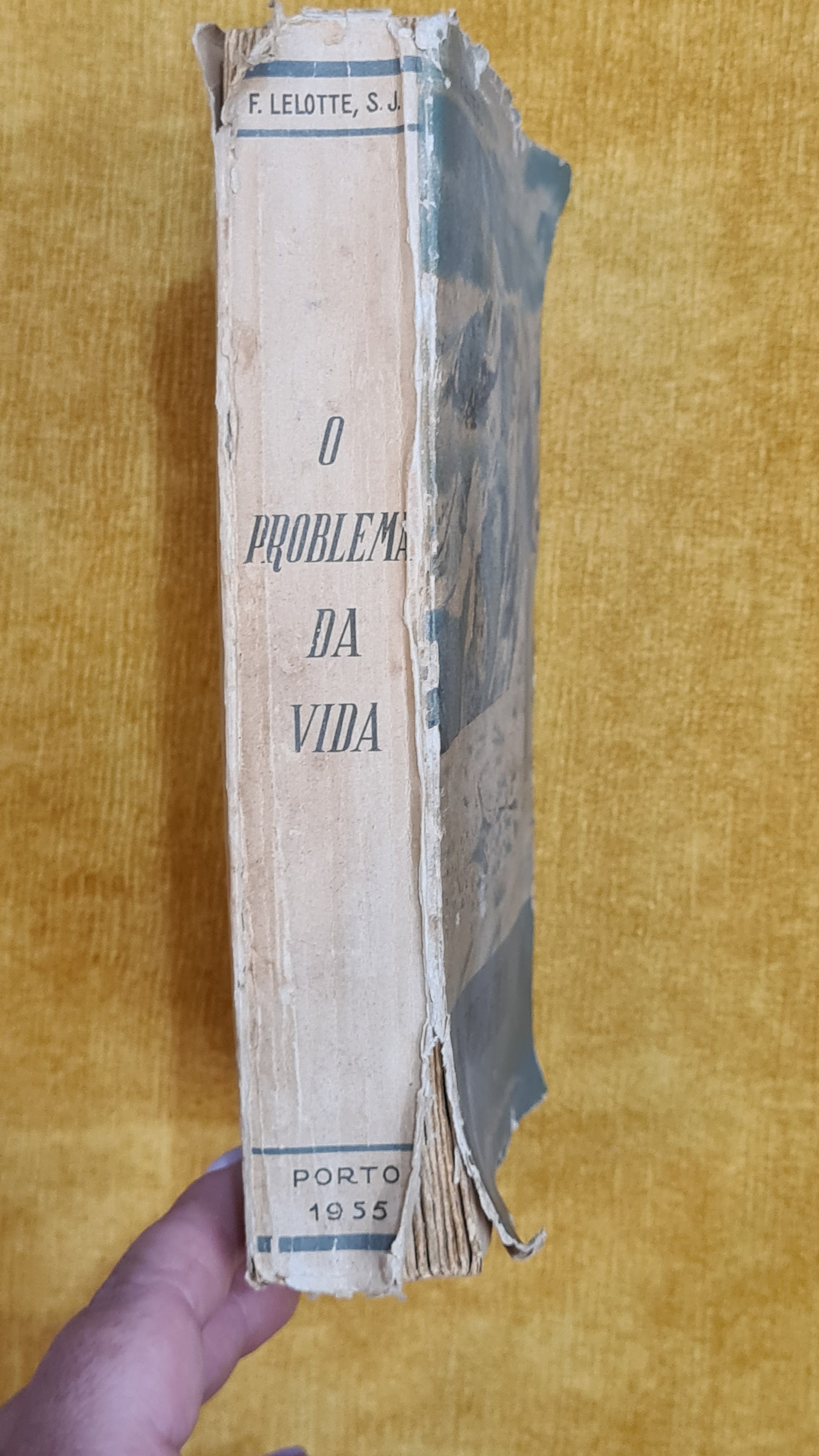 O problema da vida