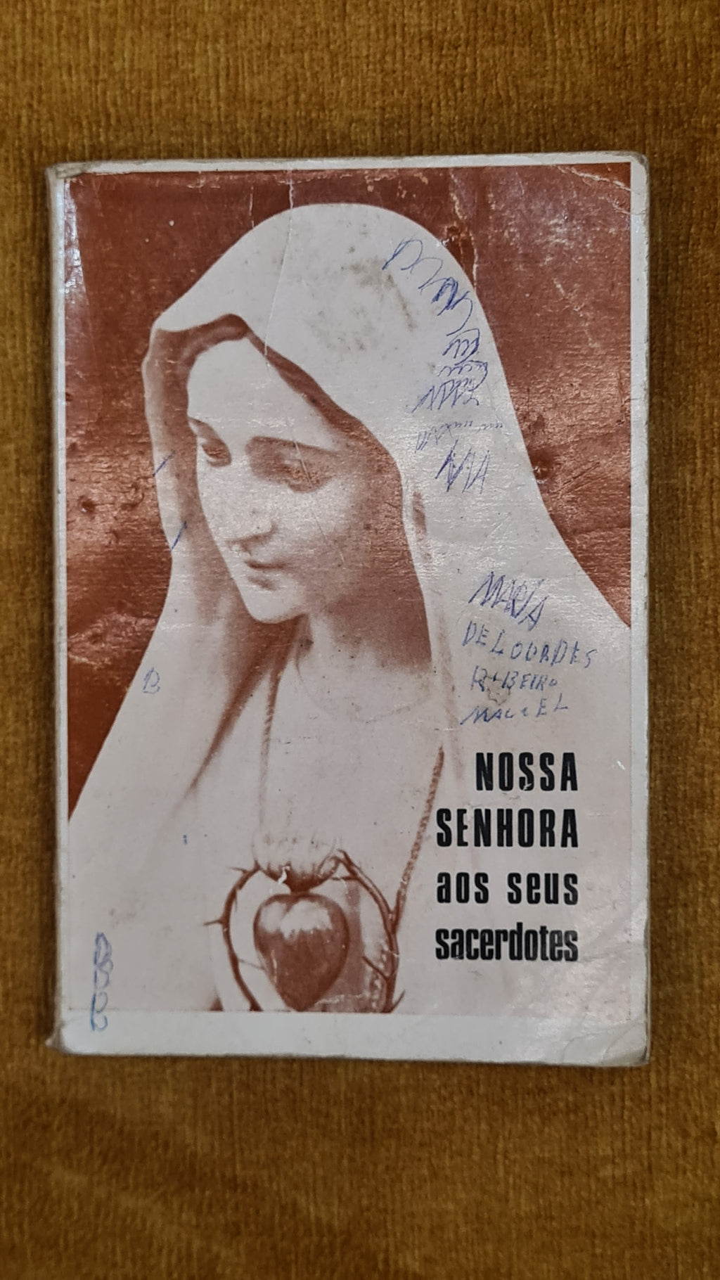 Our Lady to Her Priests