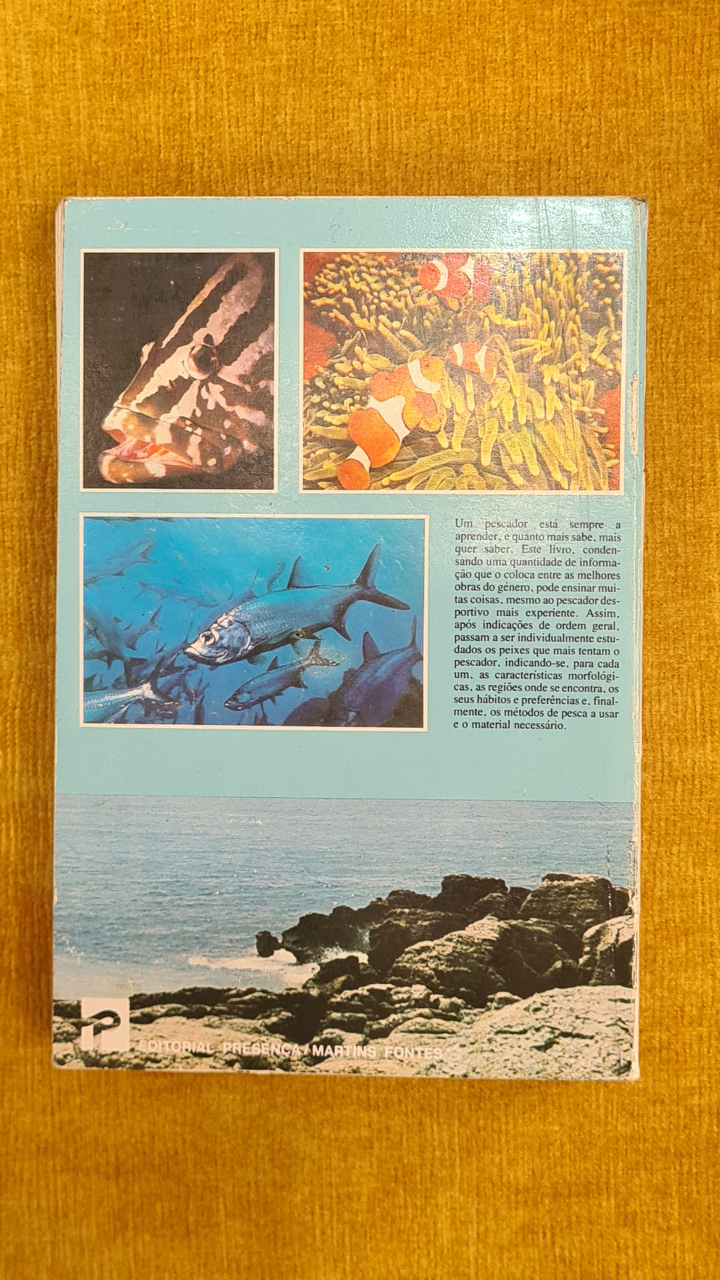 Os segredos da pesca