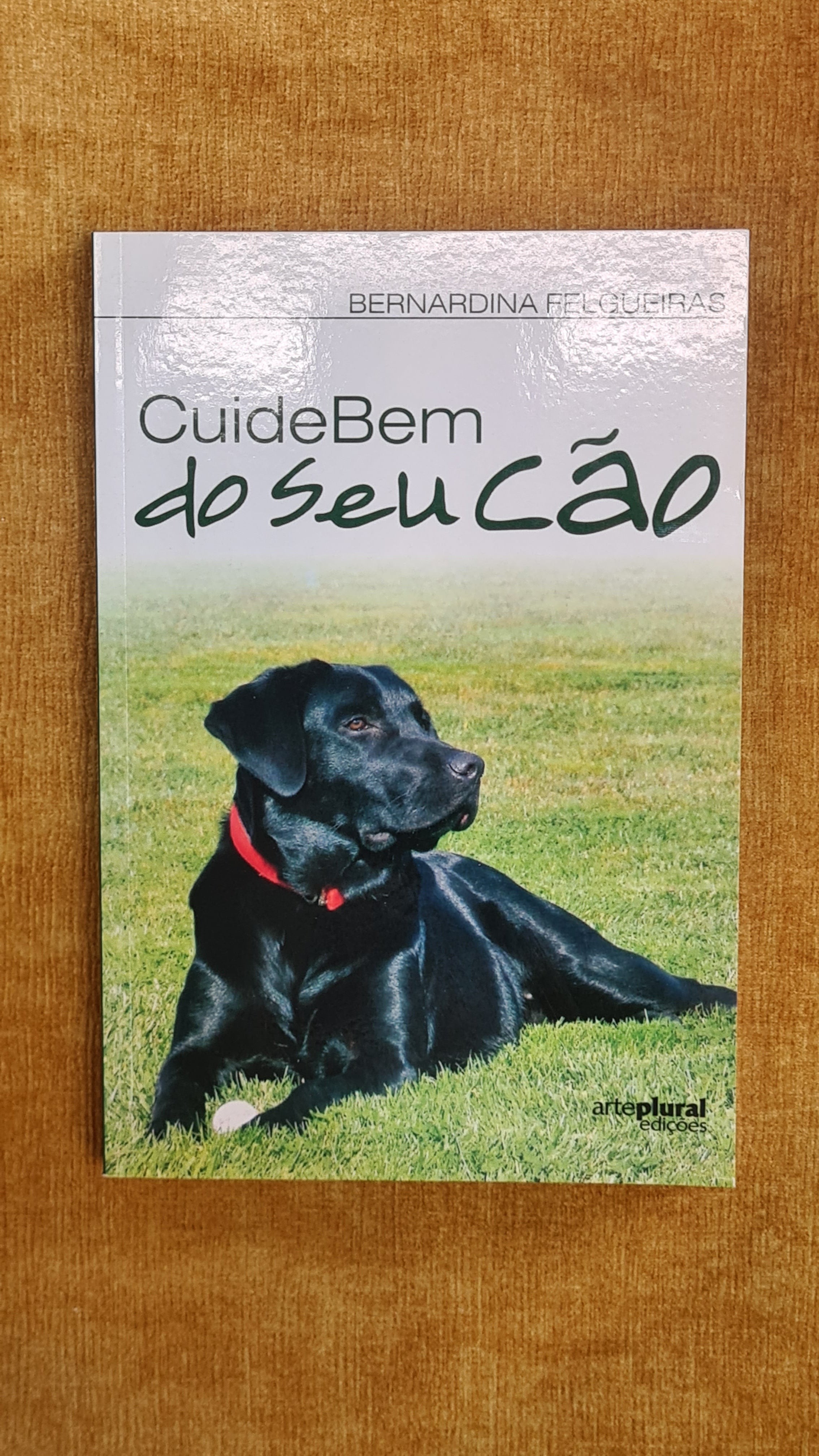 Take good care of your dog