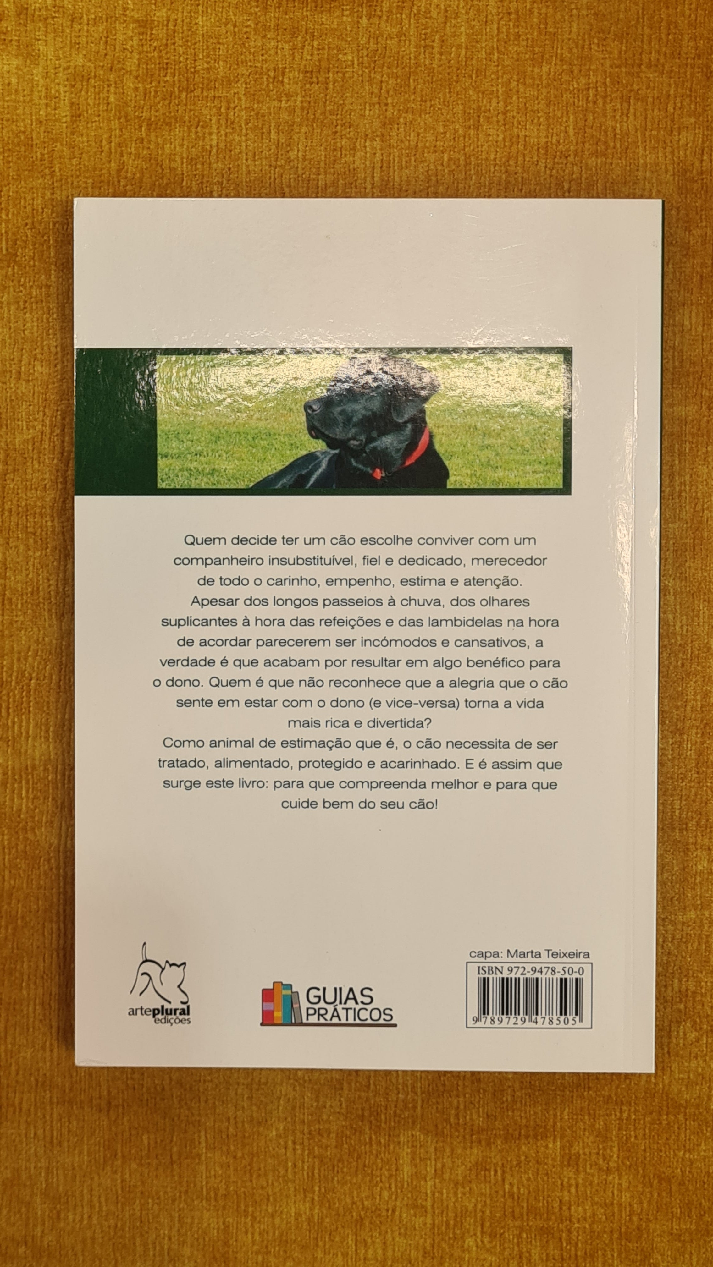 Take good care of your dog
