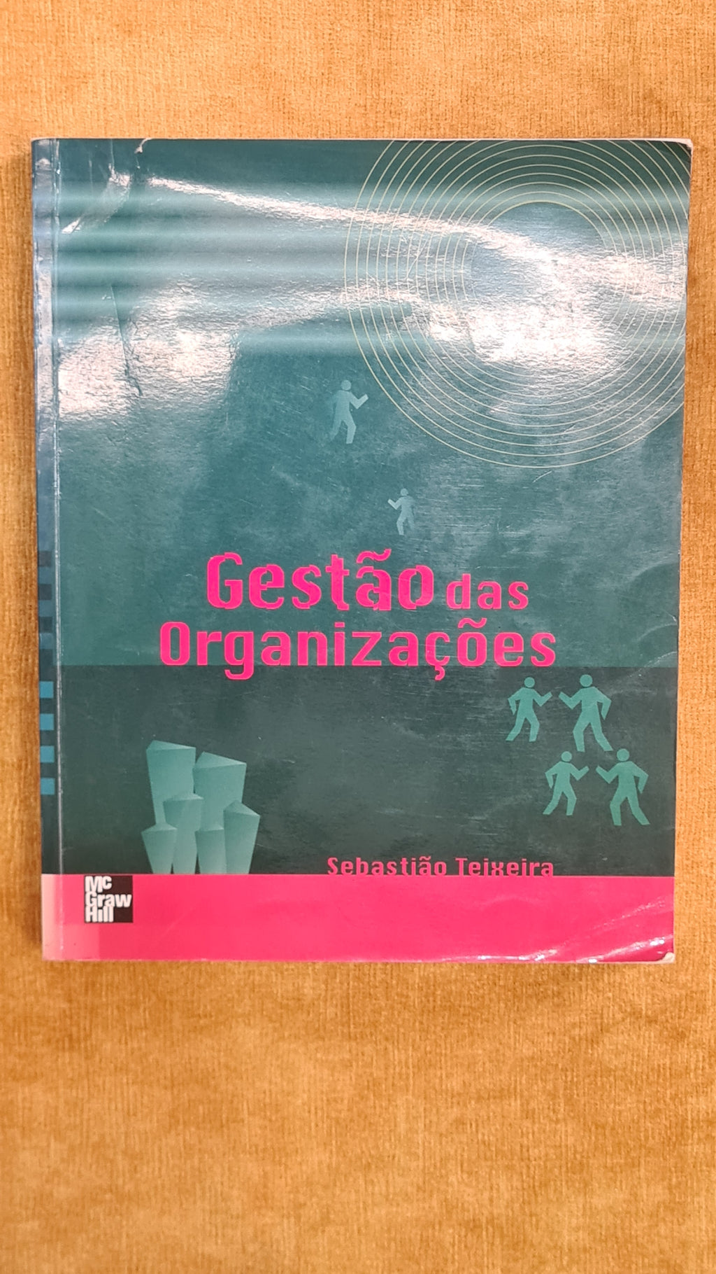 Gestão das Organizações