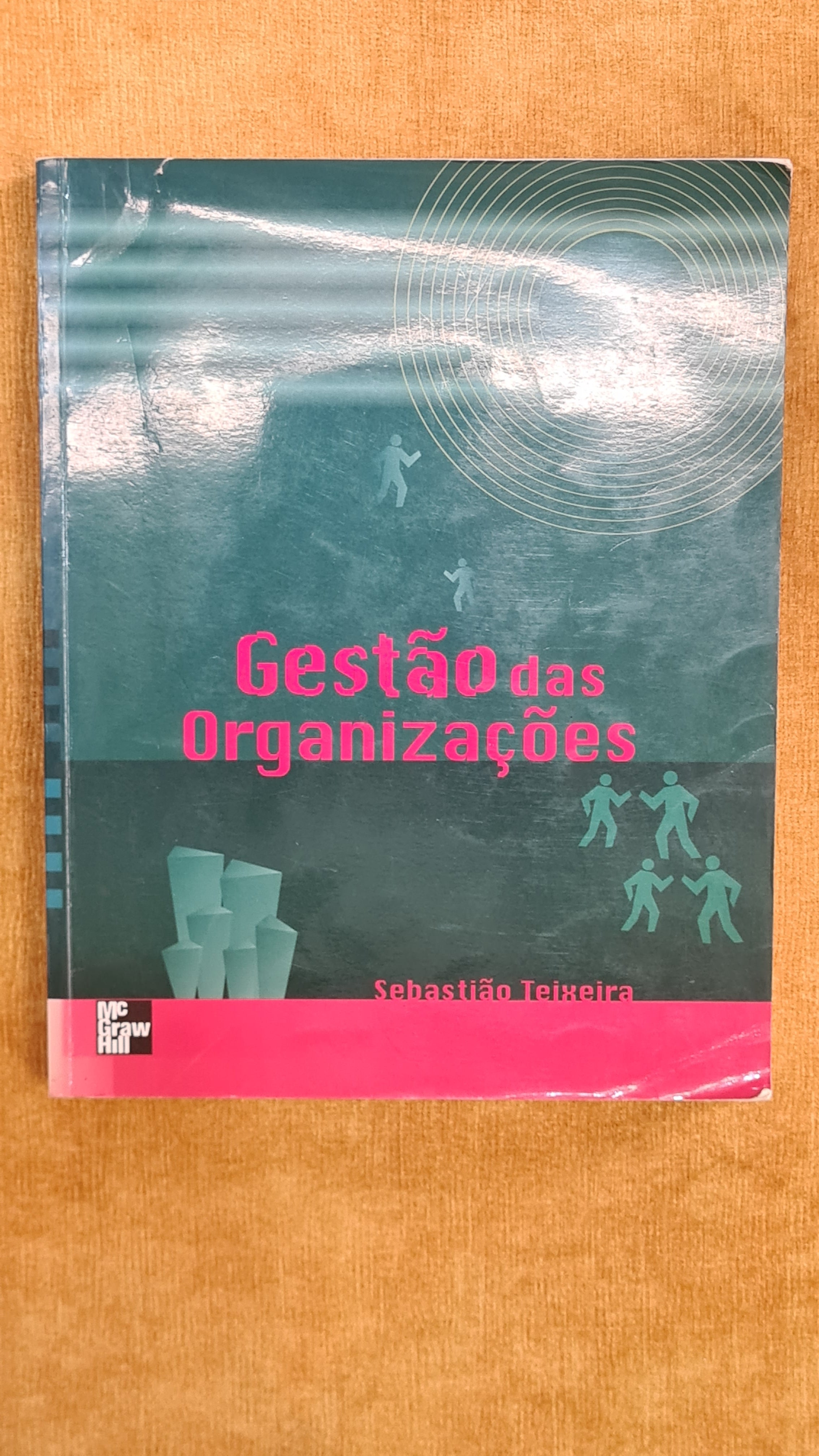 Gestão das Organizações