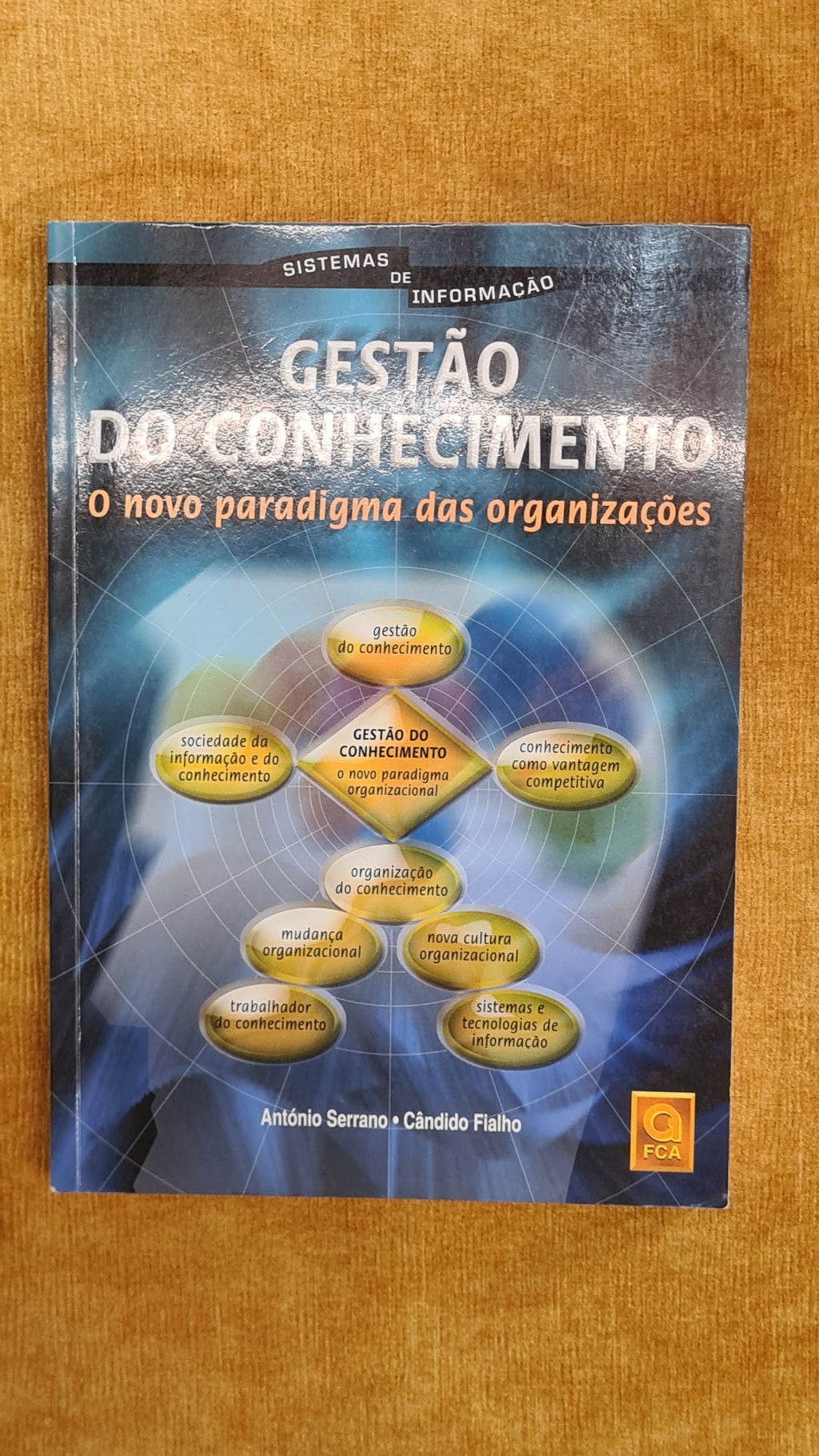 Gestão do Conhecimento - o novo paradigma das organizações