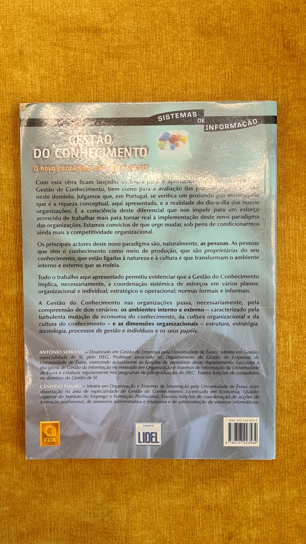 Gestão do Conhecimento - o novo paradigma das organizações