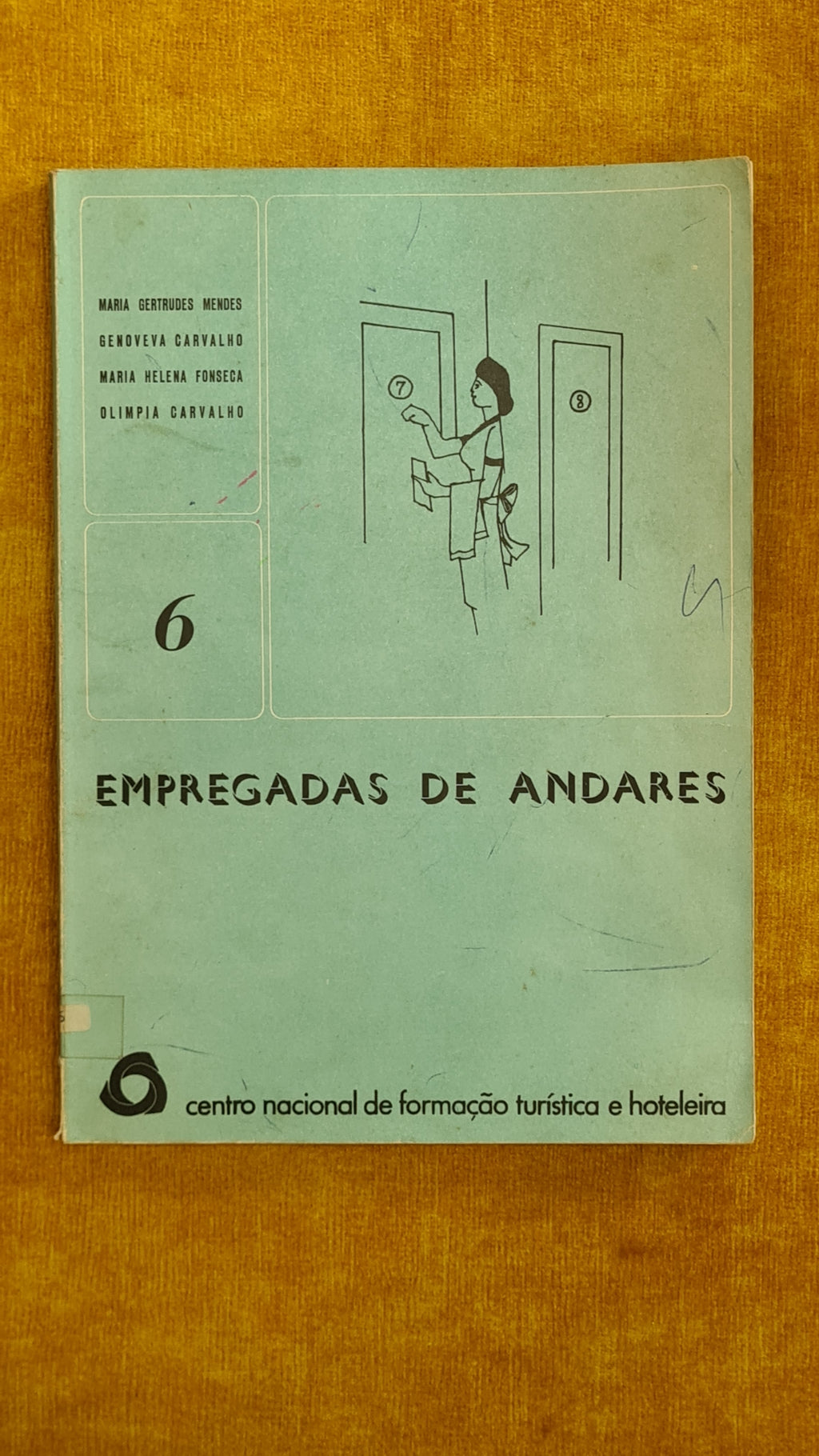 Empregadas de Andares