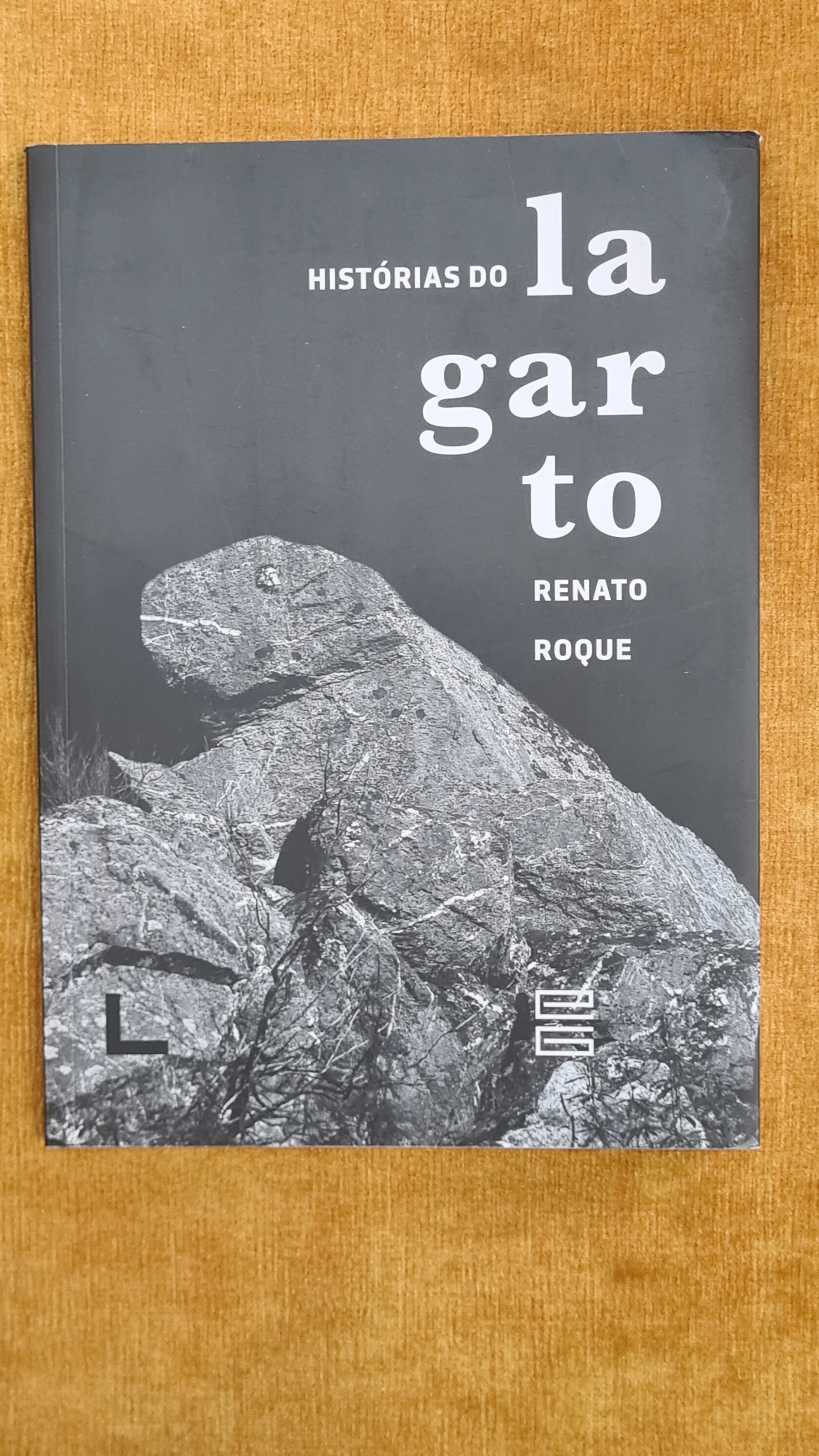 Histórias do Lagarto