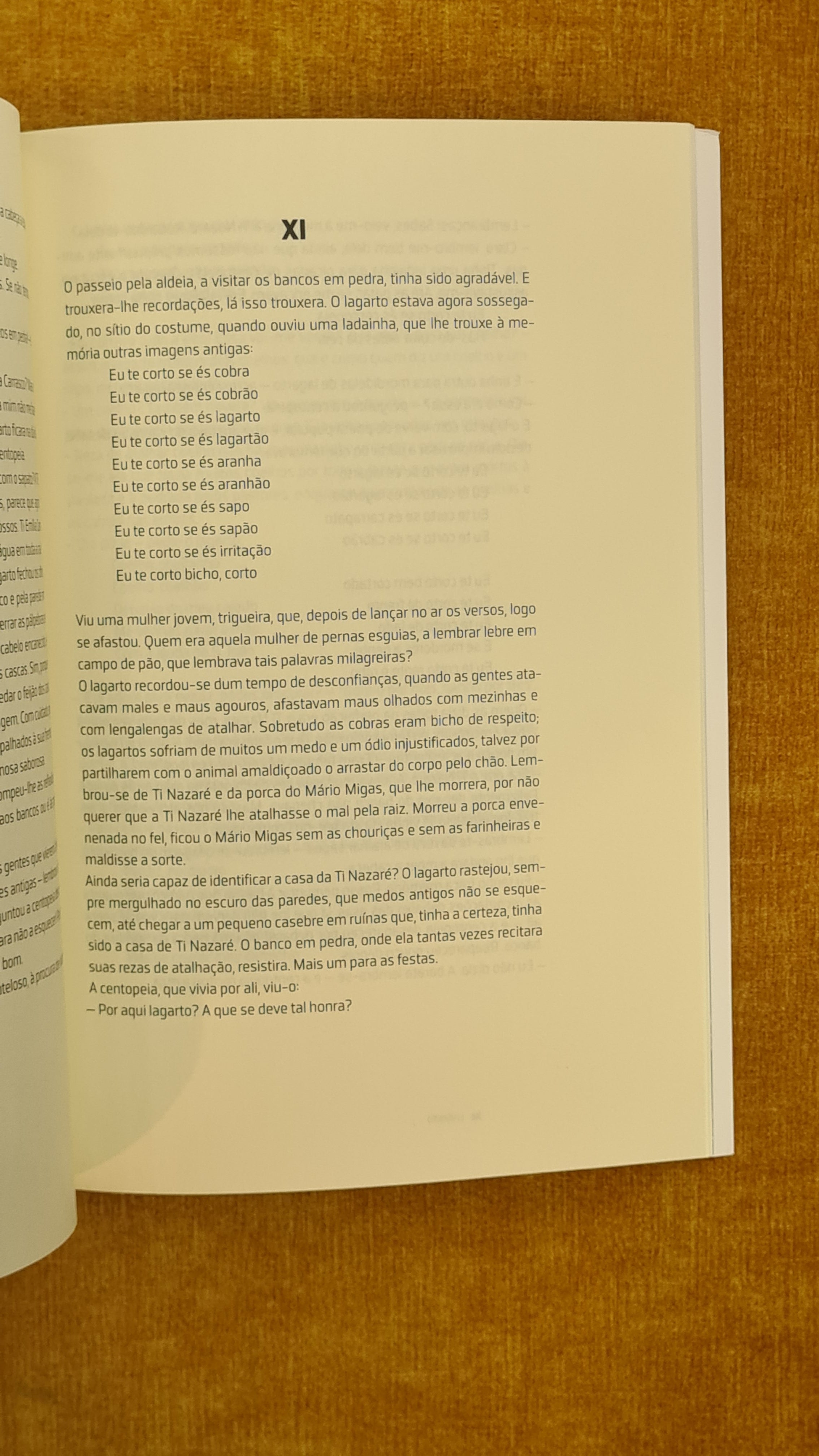 Histórias do Lagarto