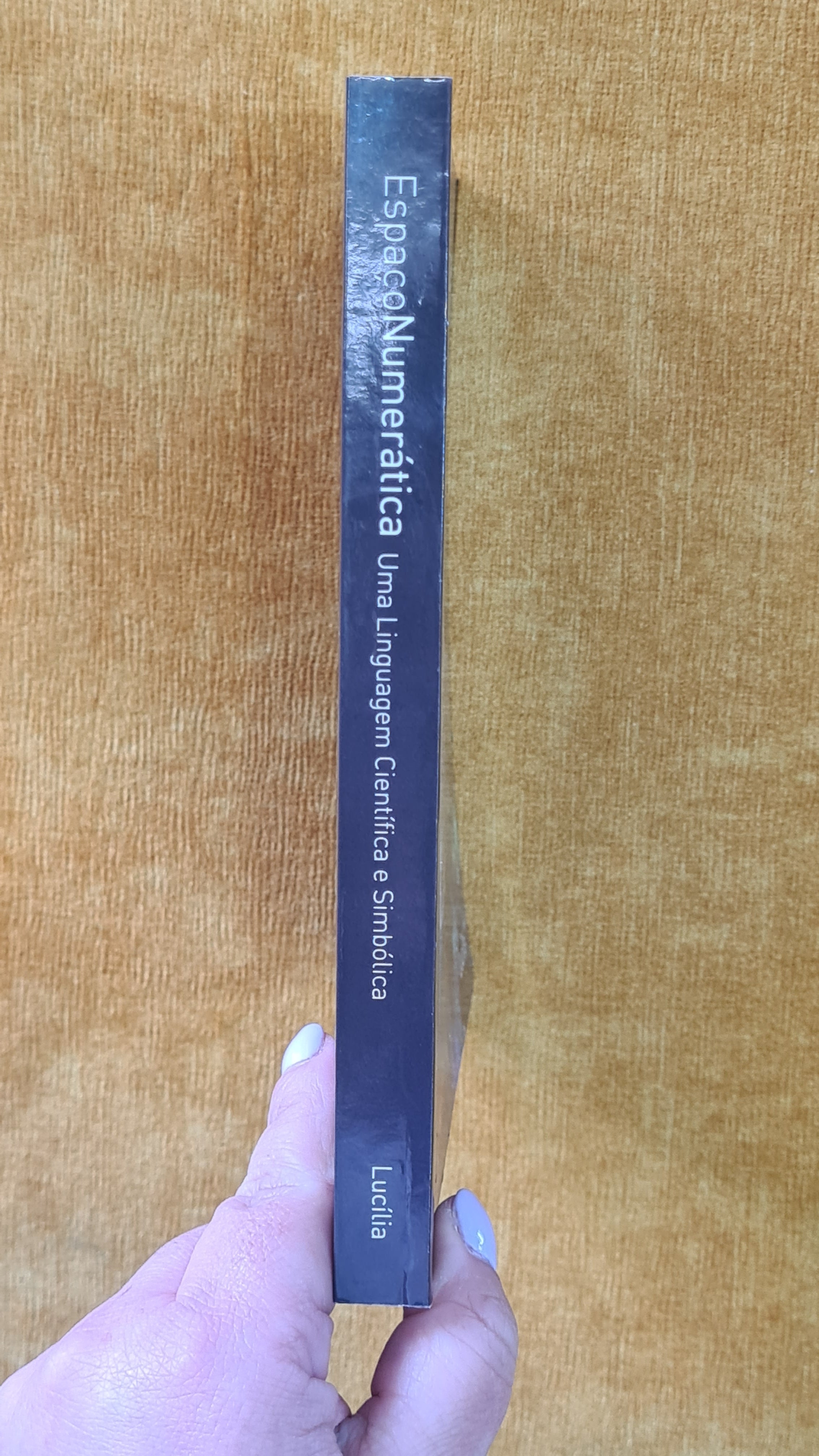 Numeratic Space: A Scientific and Symbolic Language