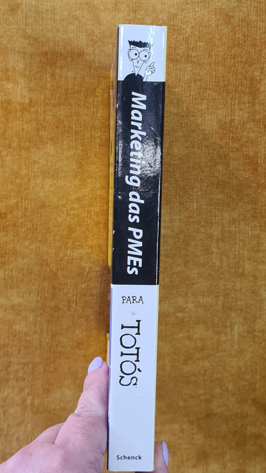 Marketing das PMES para totós