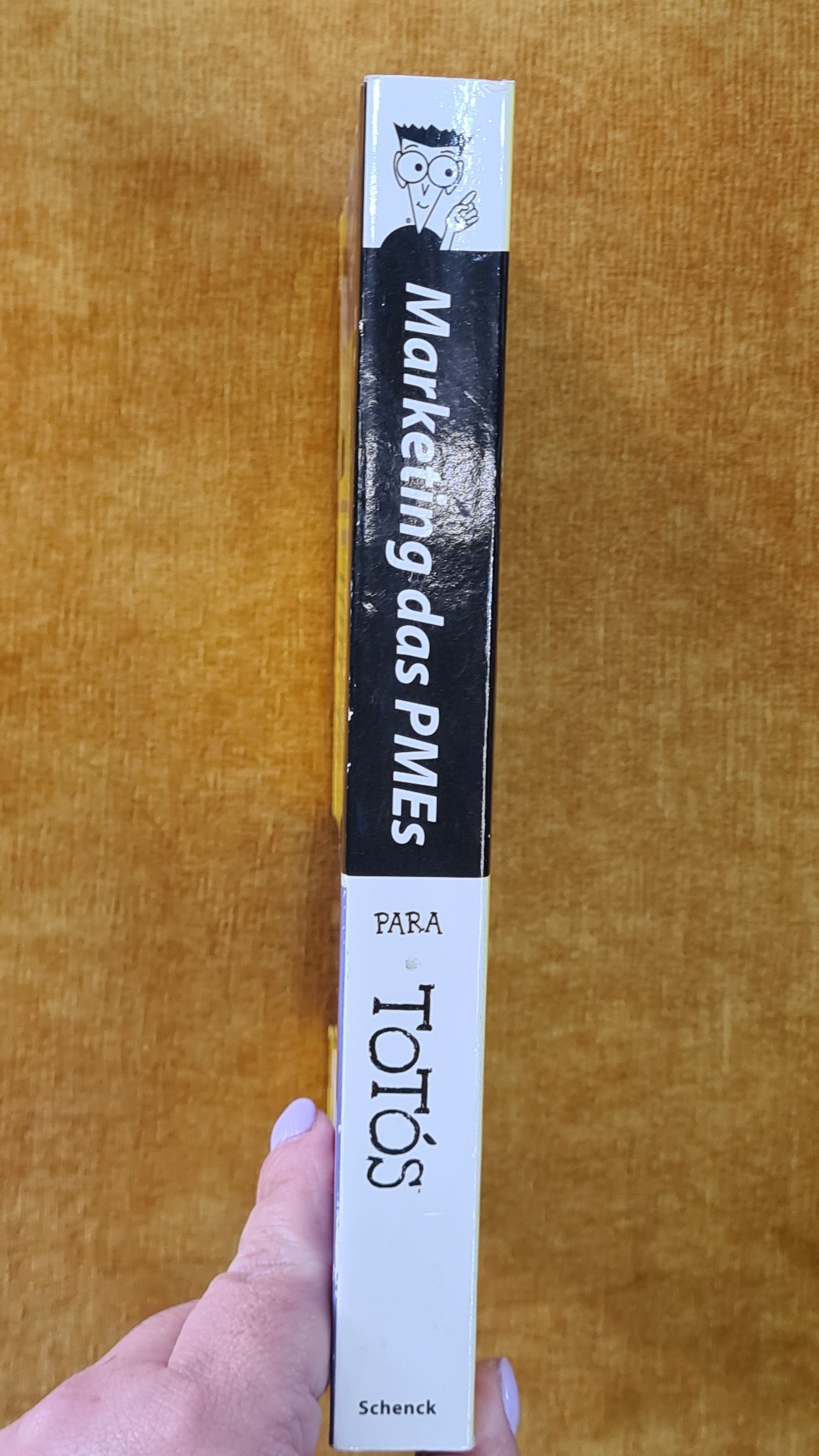 Marketing das PMES para totós