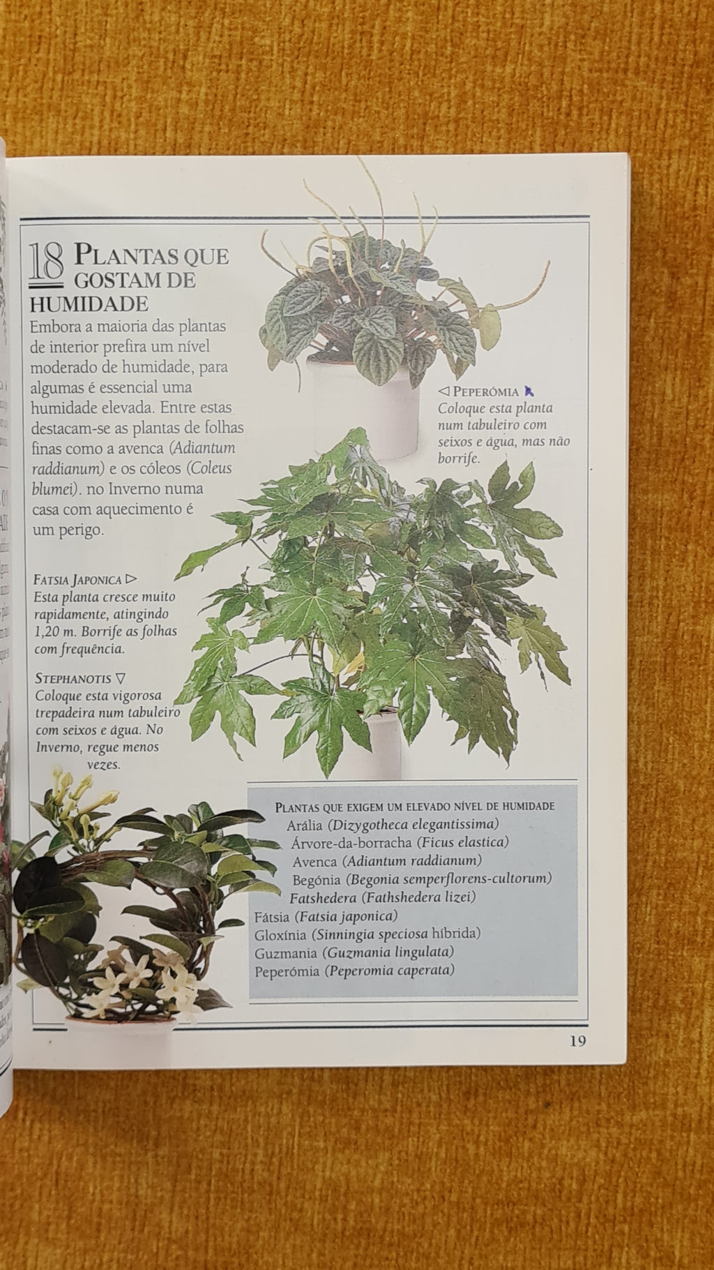 101 Tips - Indoor Plants