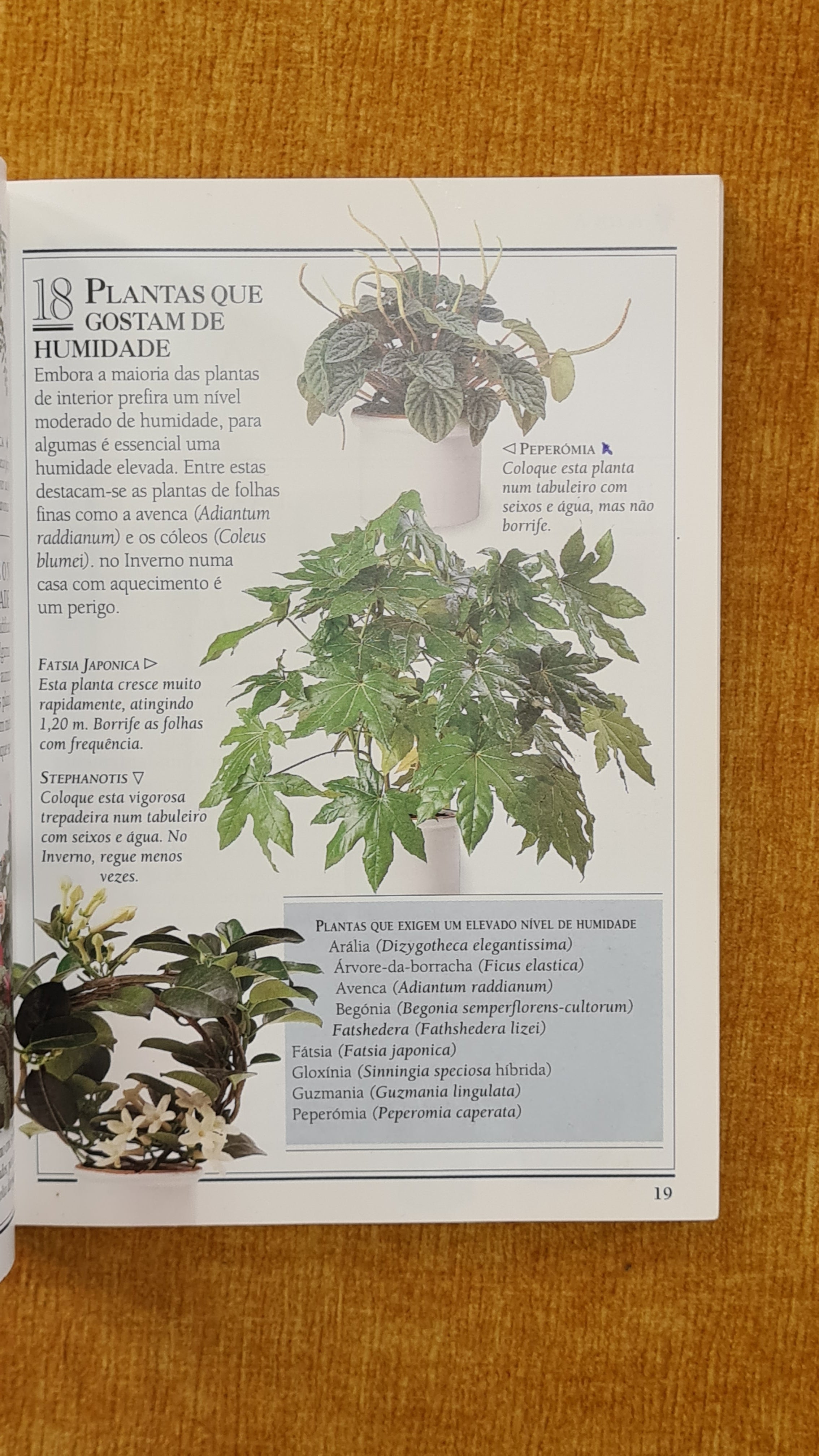 101 Tips - Indoor Plants