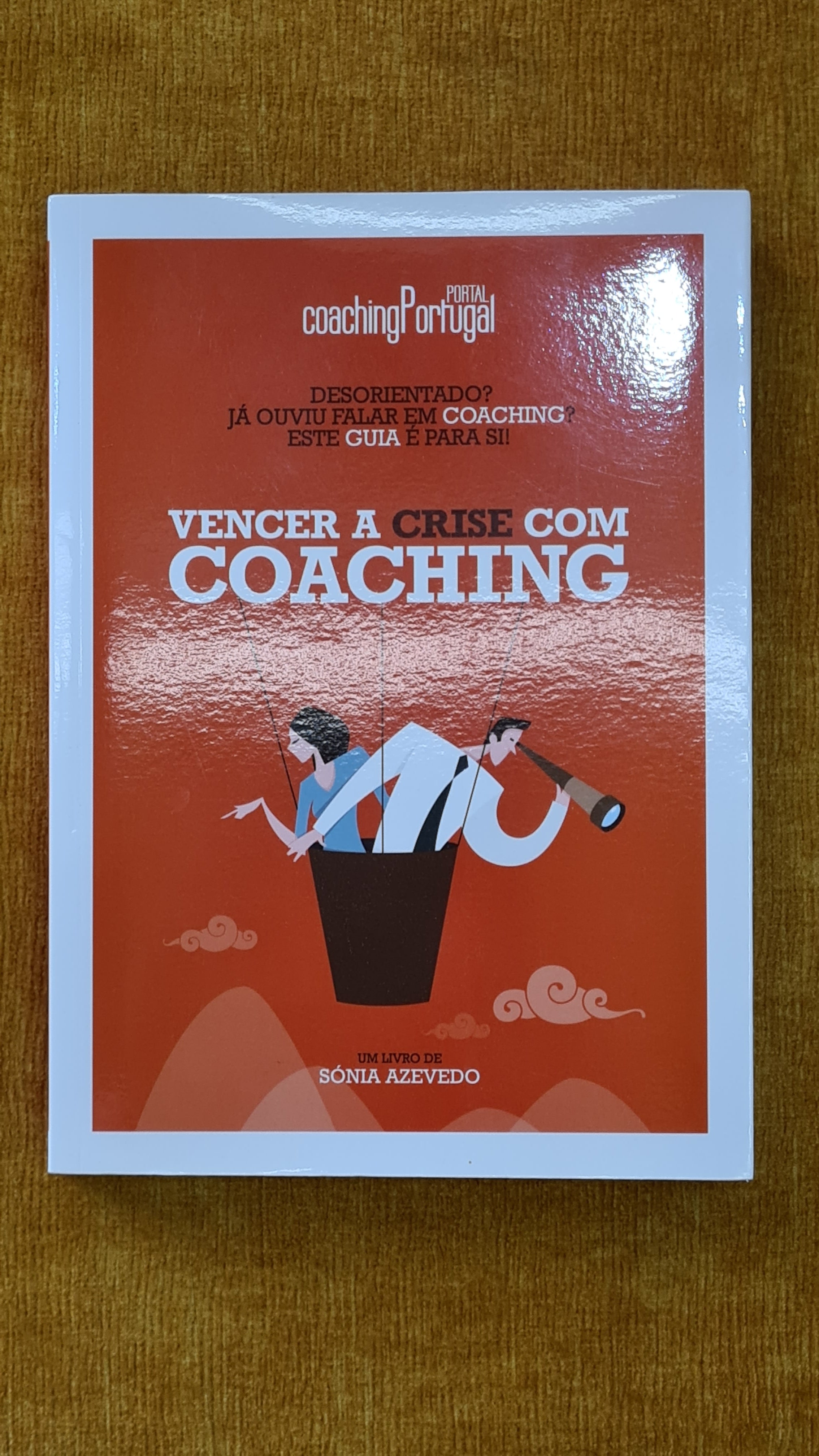 Beating the crisis with coaching