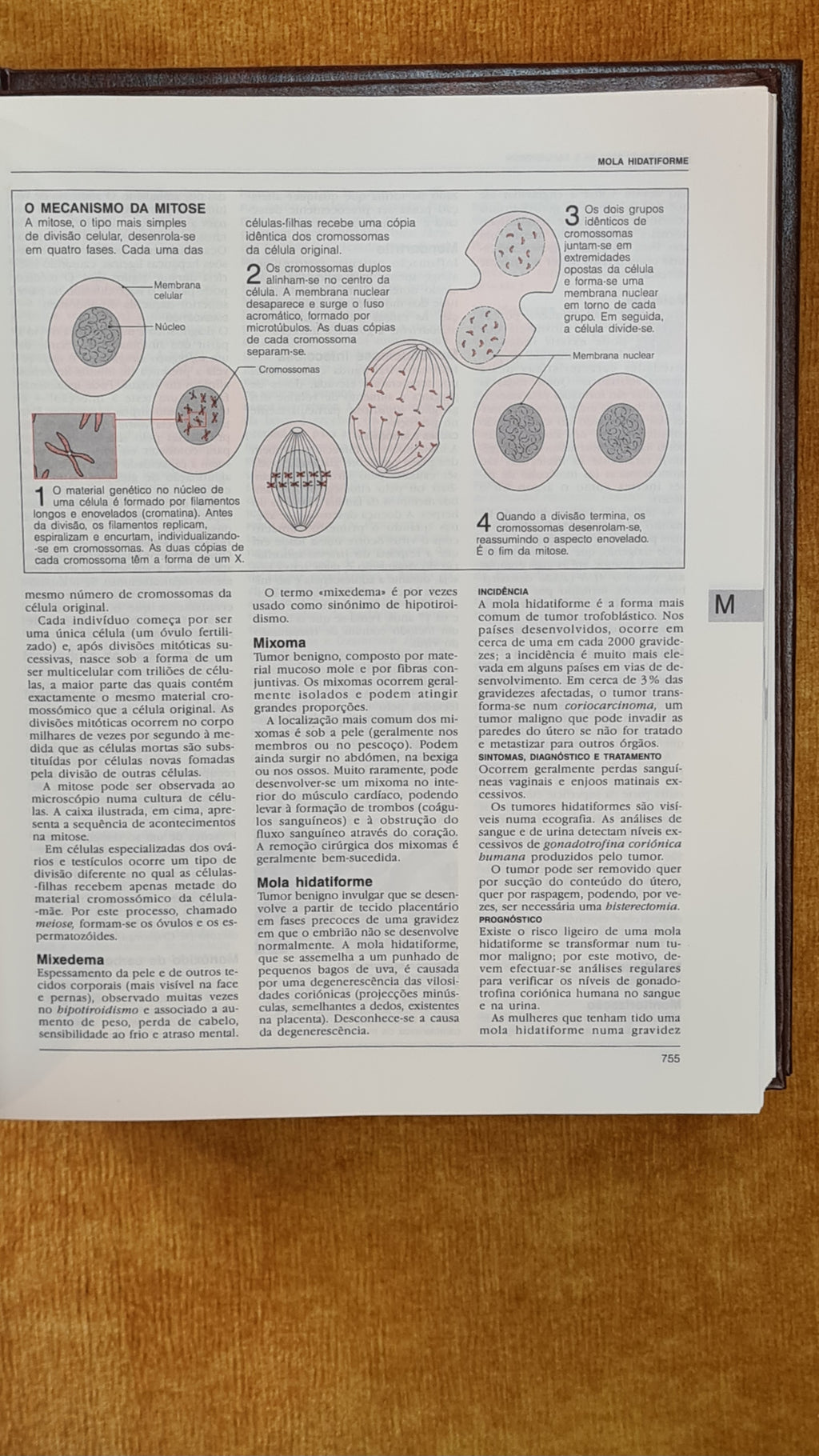 Encyclopedia of Medicine