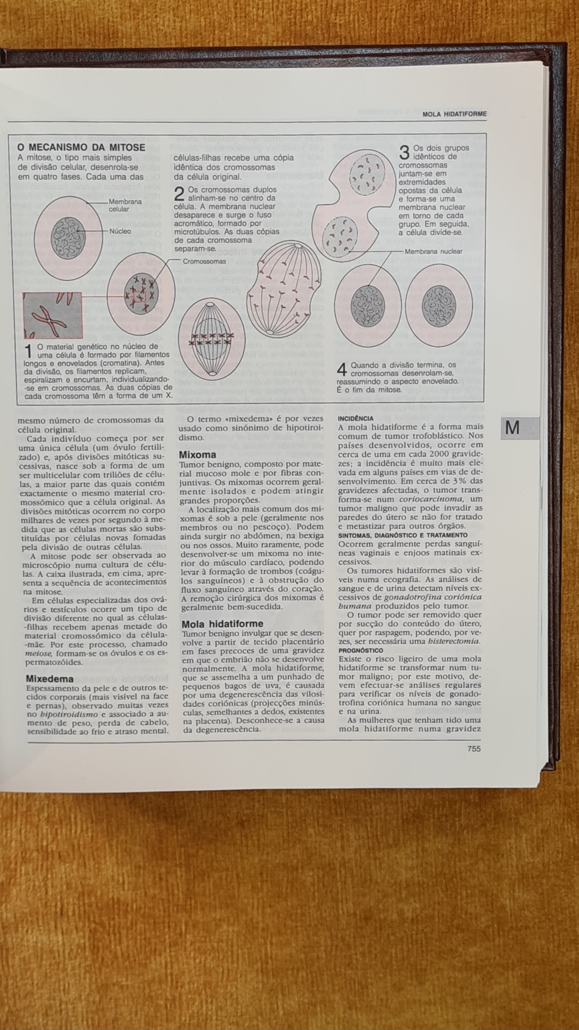 Encyclopedia of Medicine