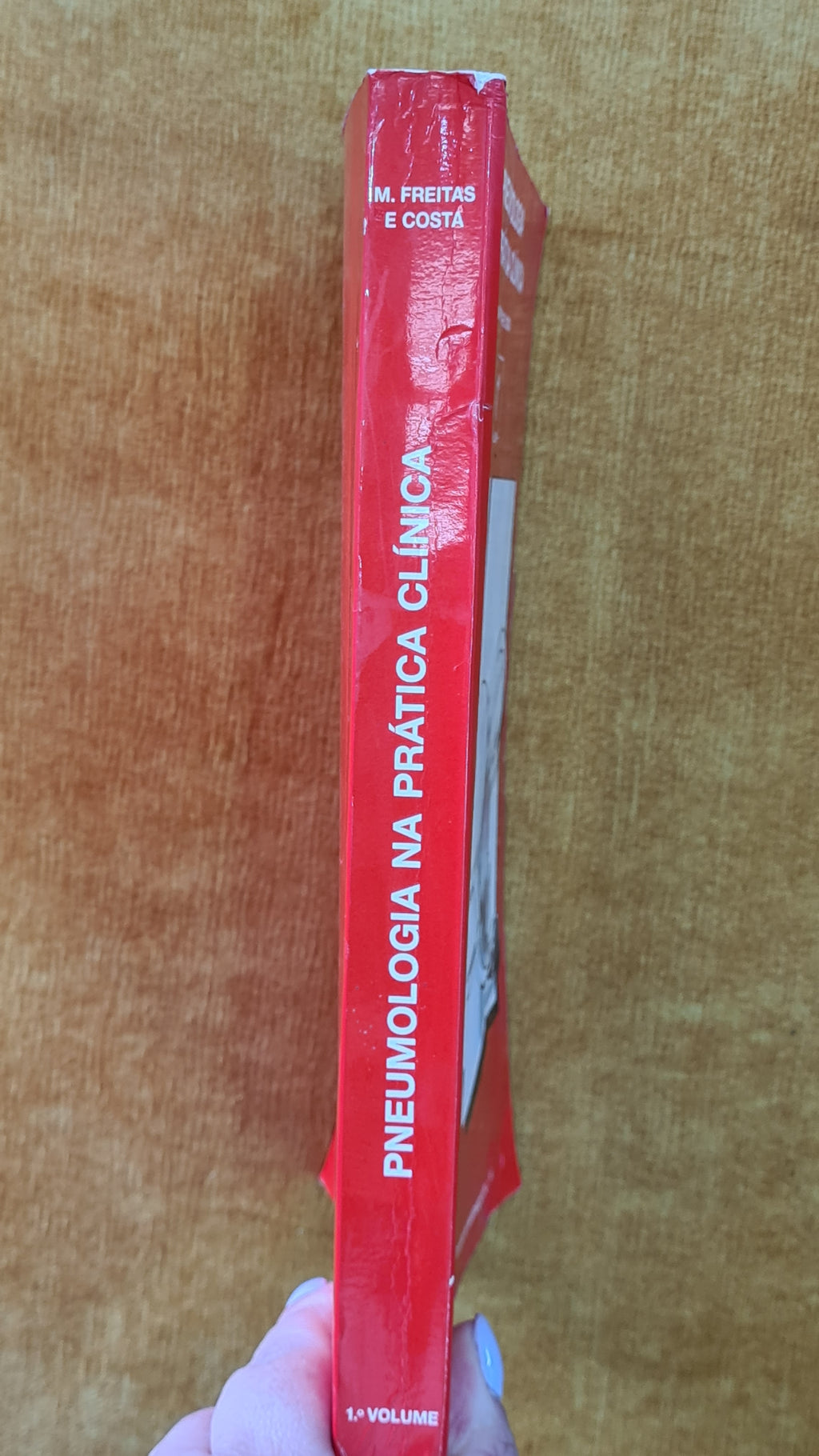 Pulmonology in Clinical Practice - Vol 1