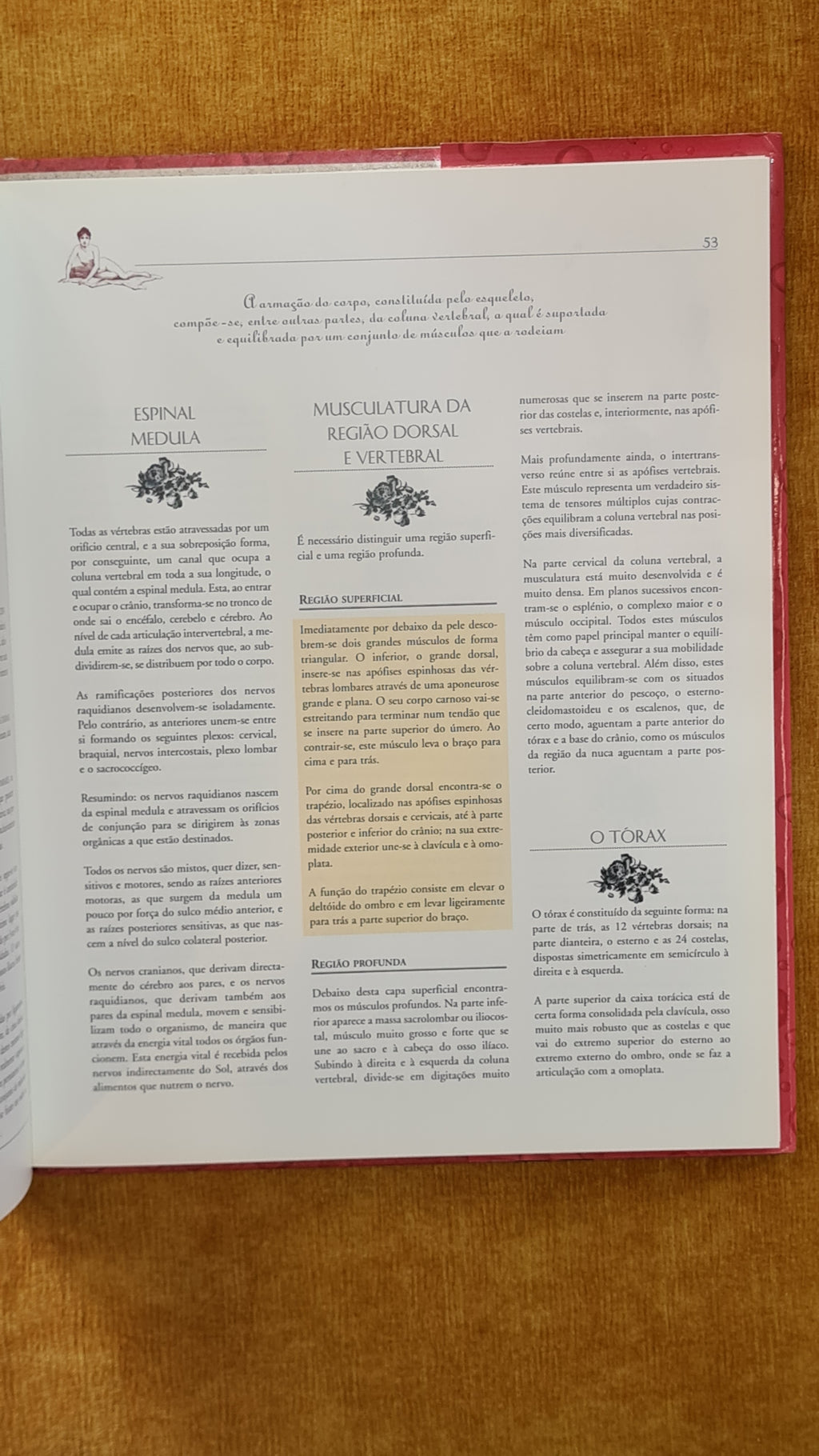 Massagens e relaxamento