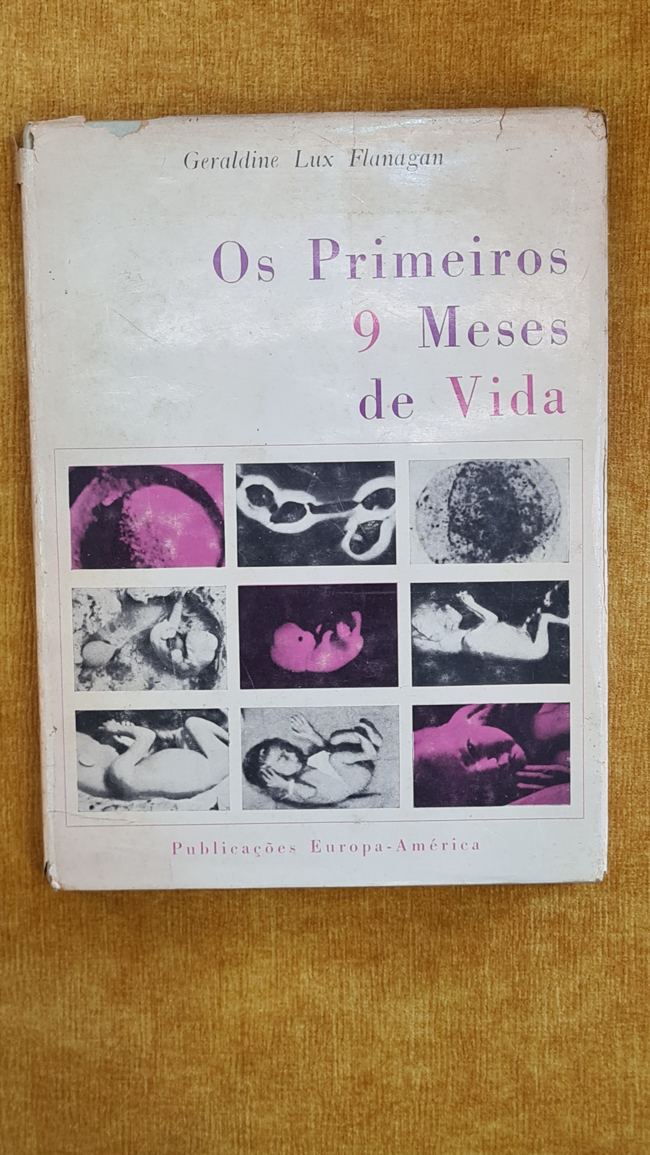 The First 9 Months of Life