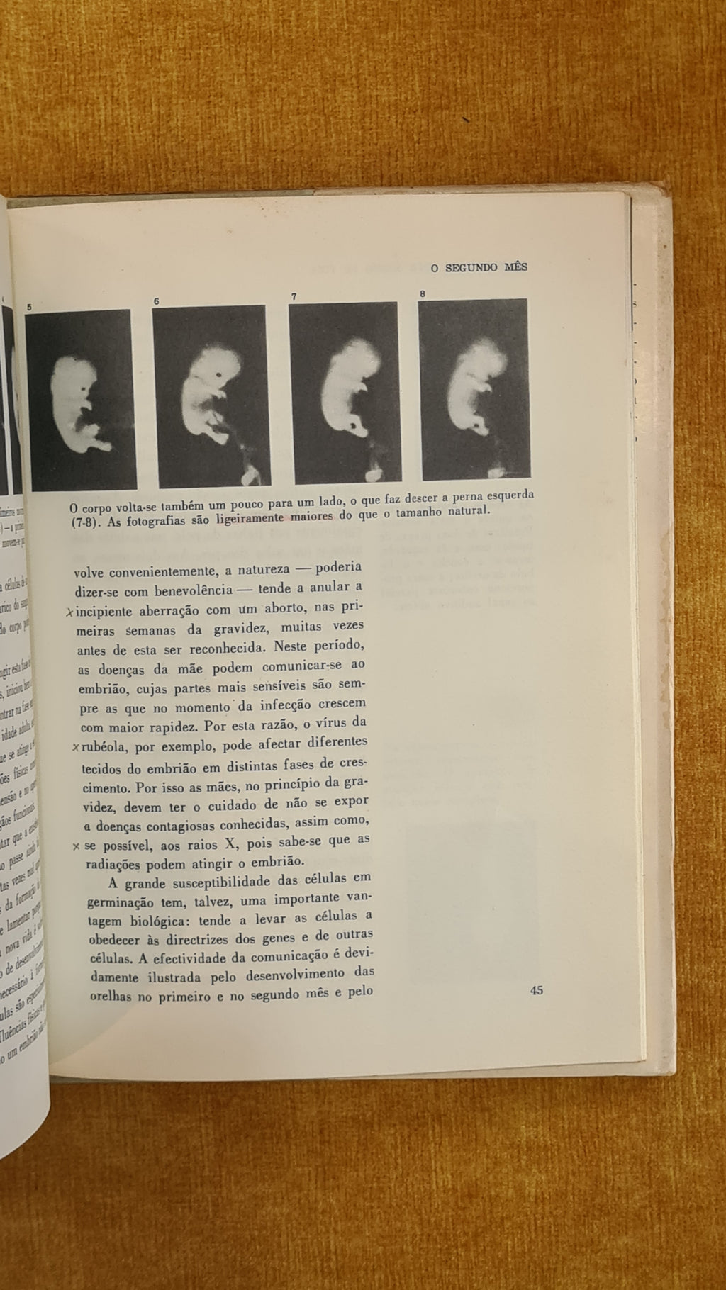 The First 9 Months of Life