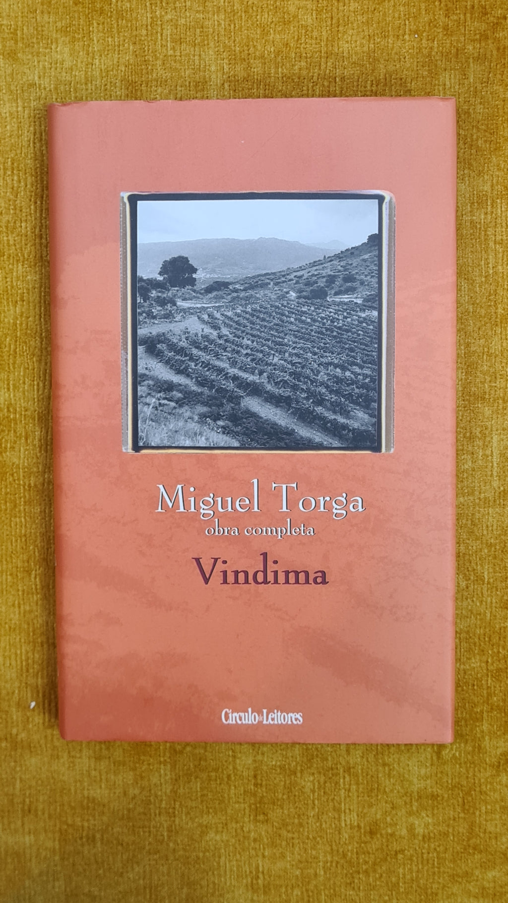 Vindima