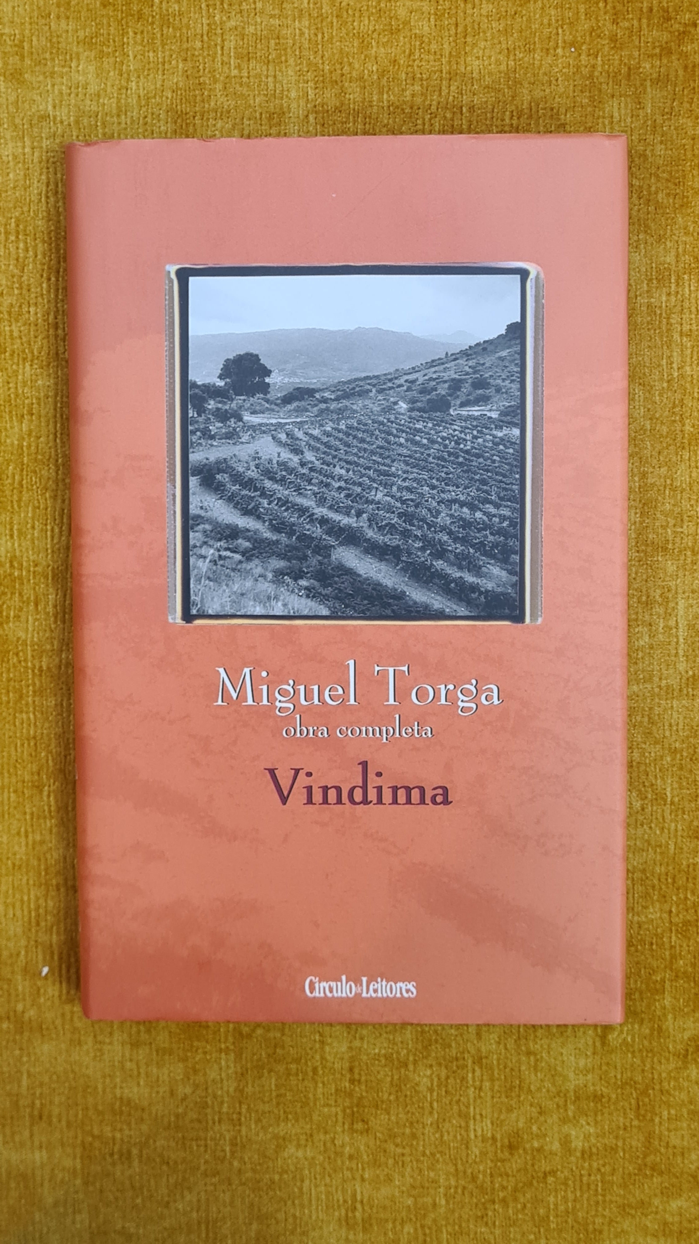 Vindima