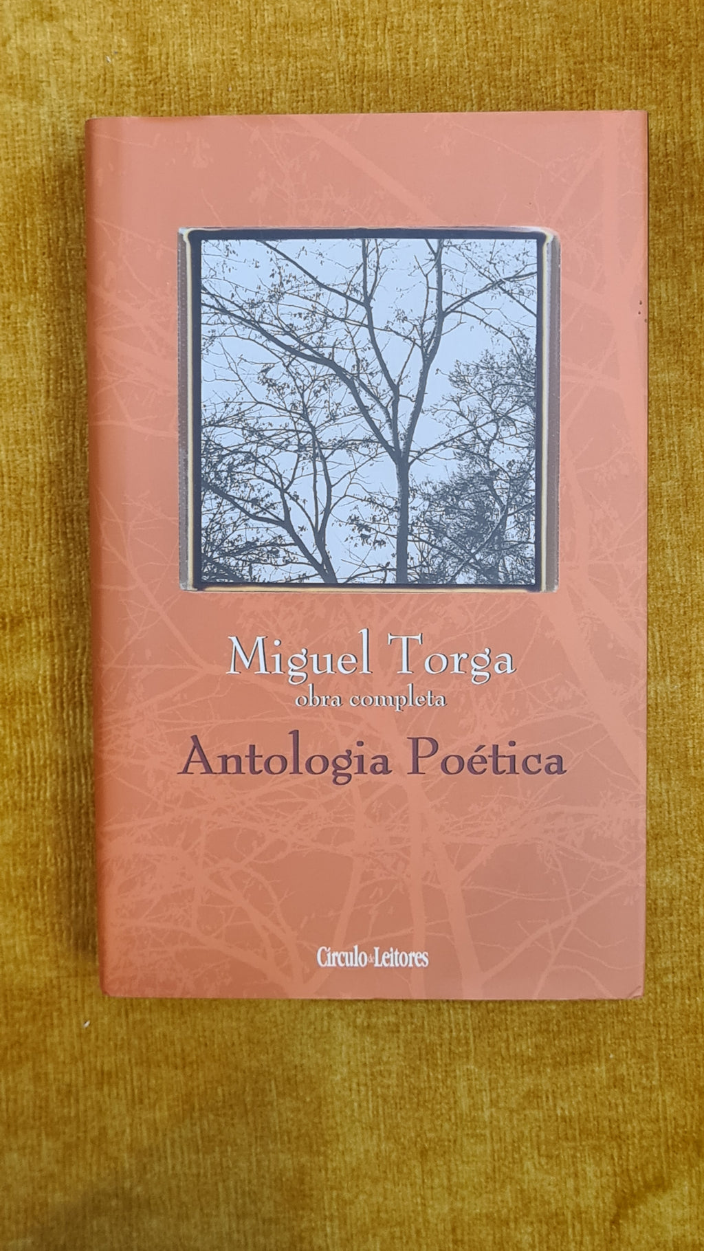 Antologia poética