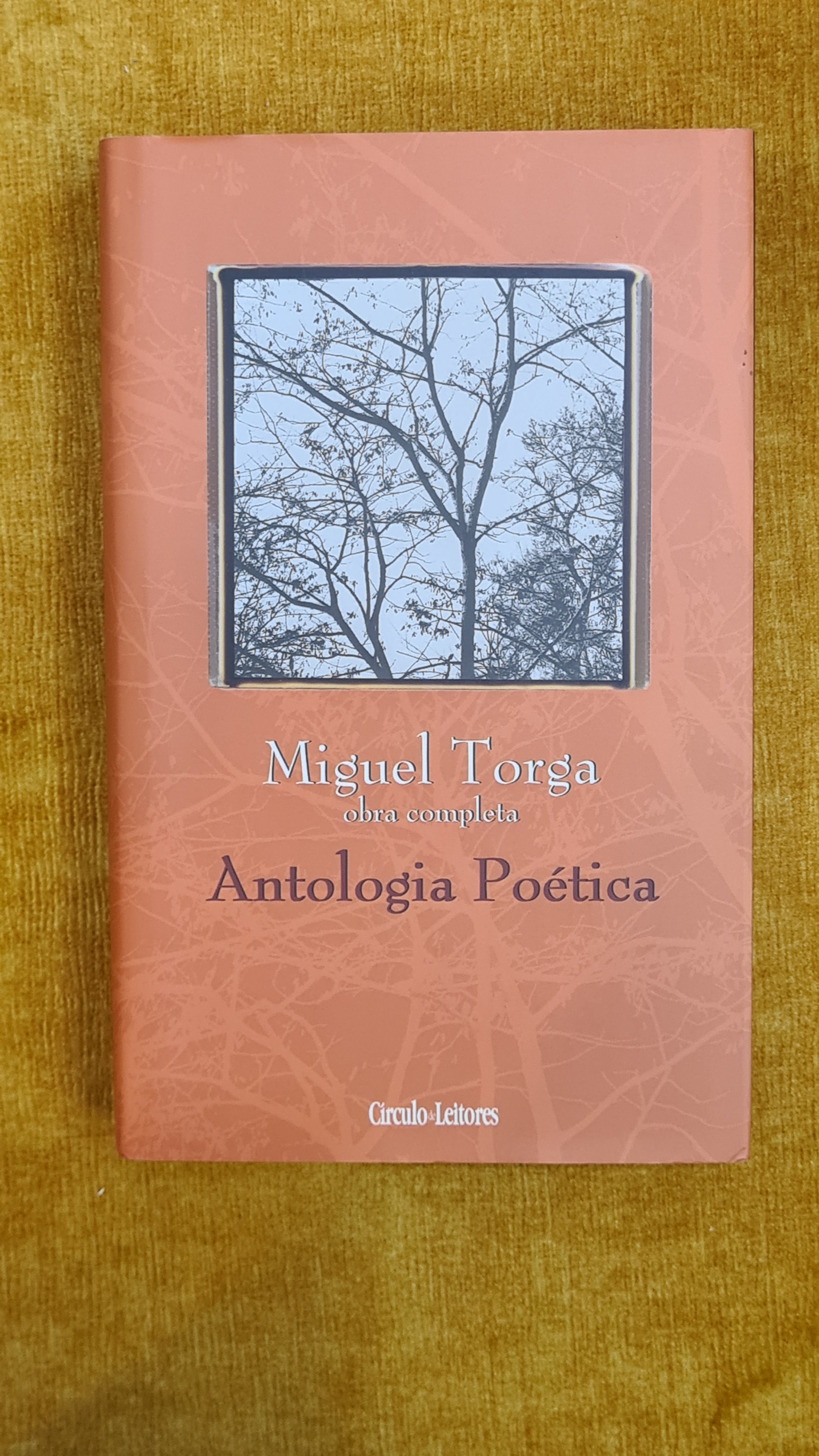 Antologia poética