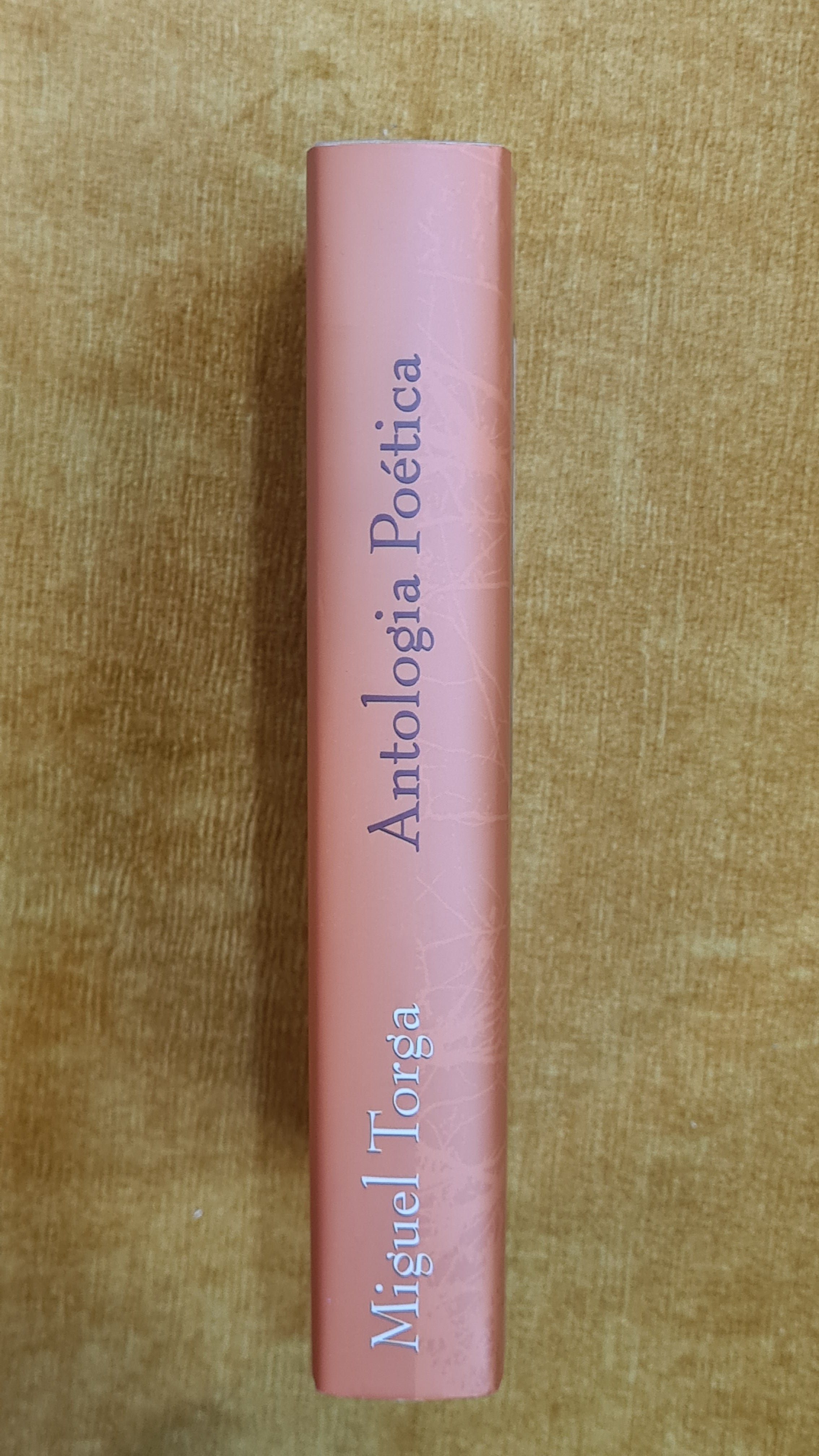 Antologia poética