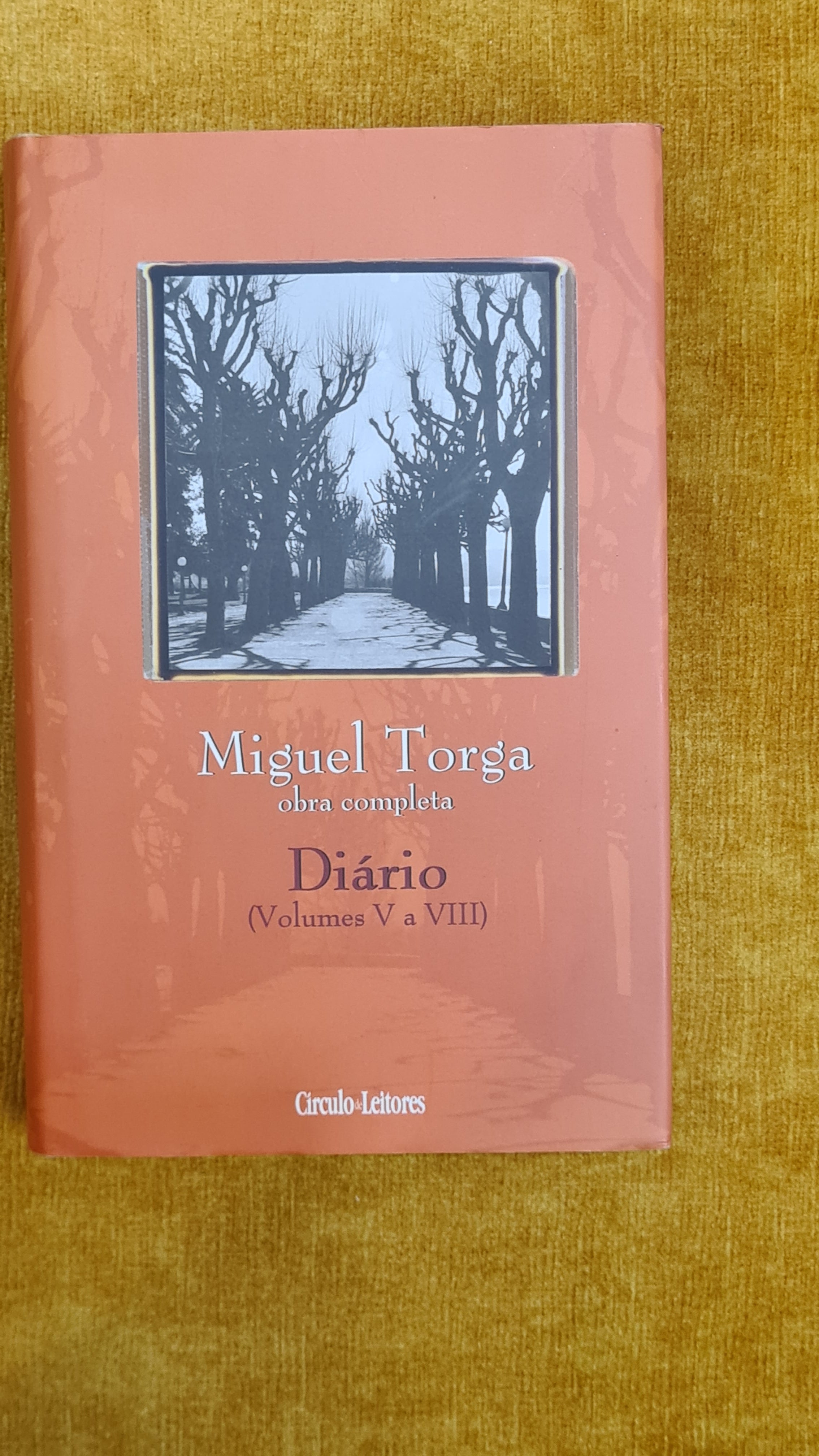 Diário (Volumes V a VIII)