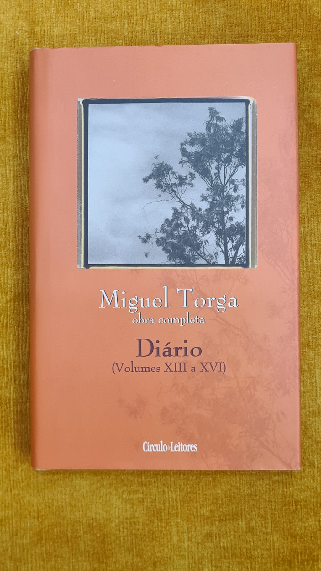 Diário (Volumes XIII a XVI)