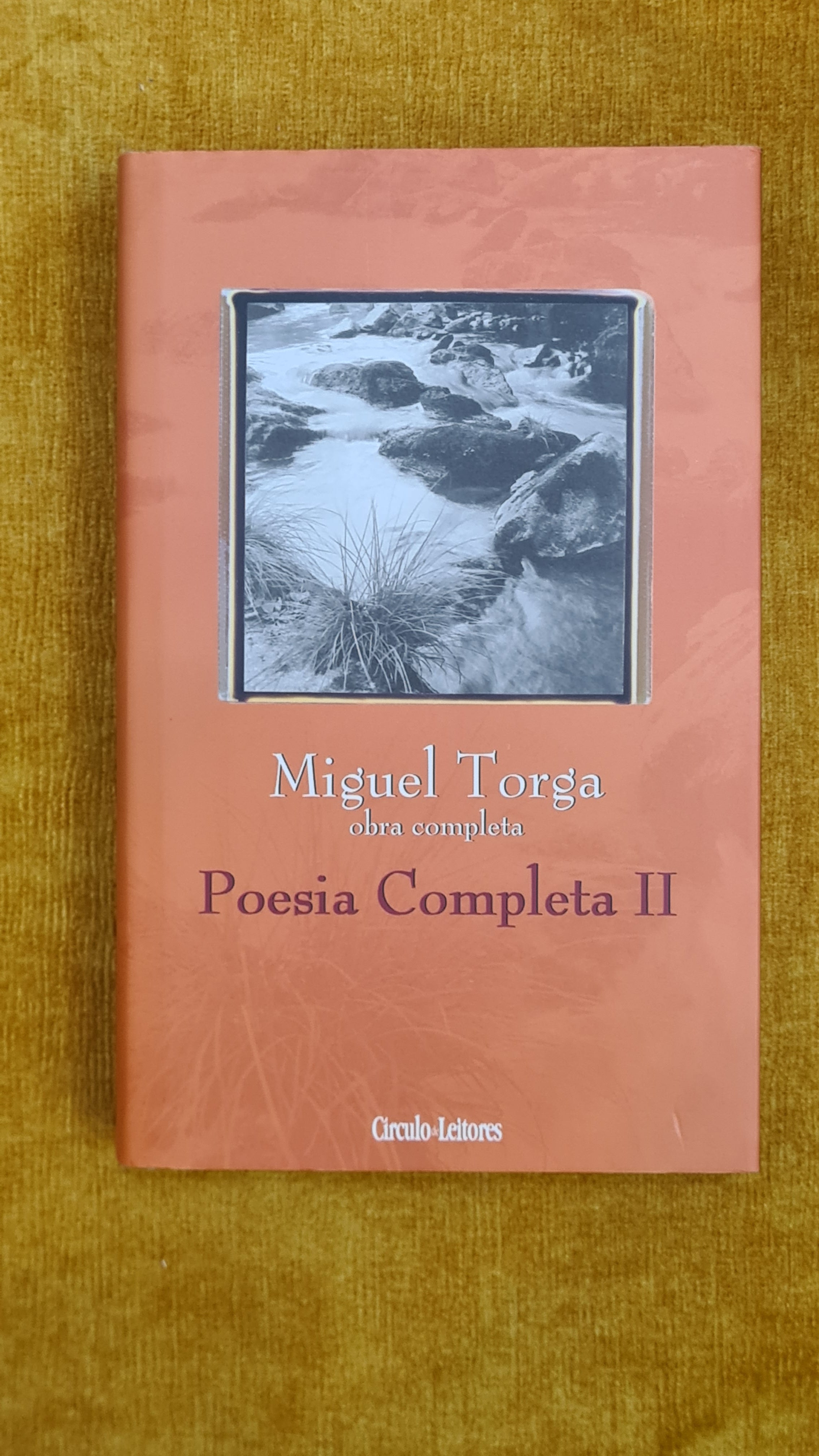 Poesia Completa II