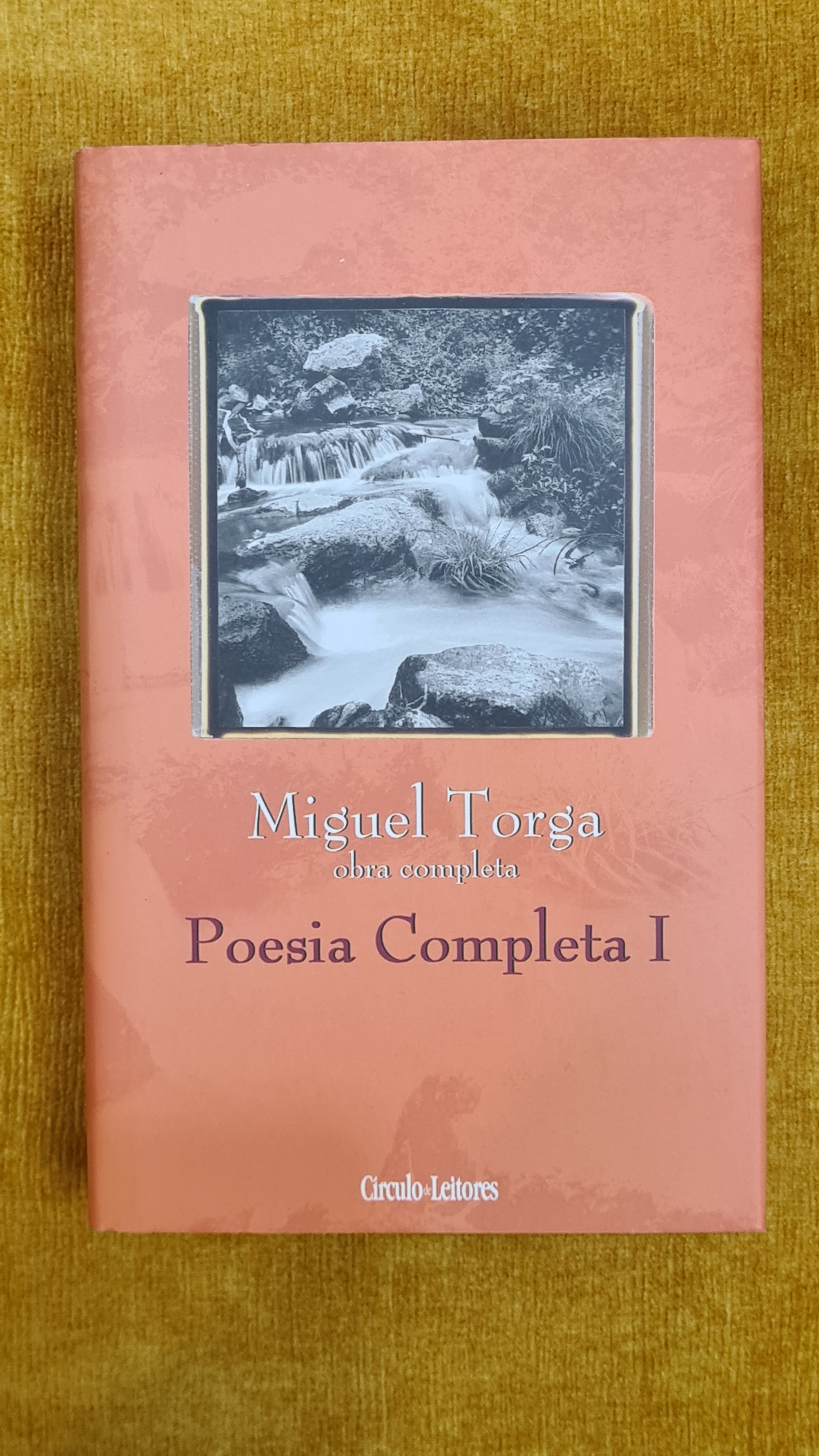Poesia Completa I