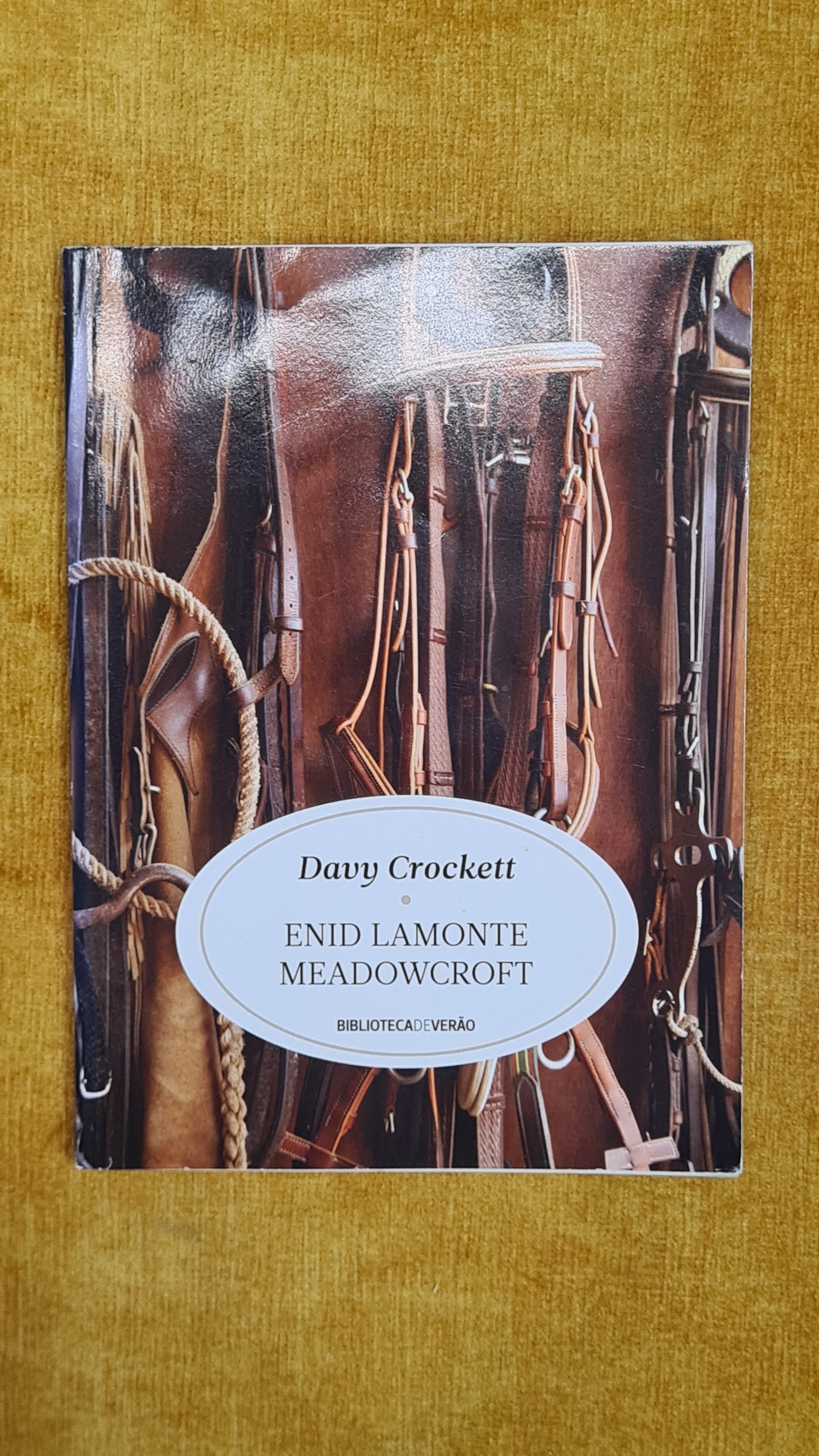 Davy Crockett - Summer Library 15