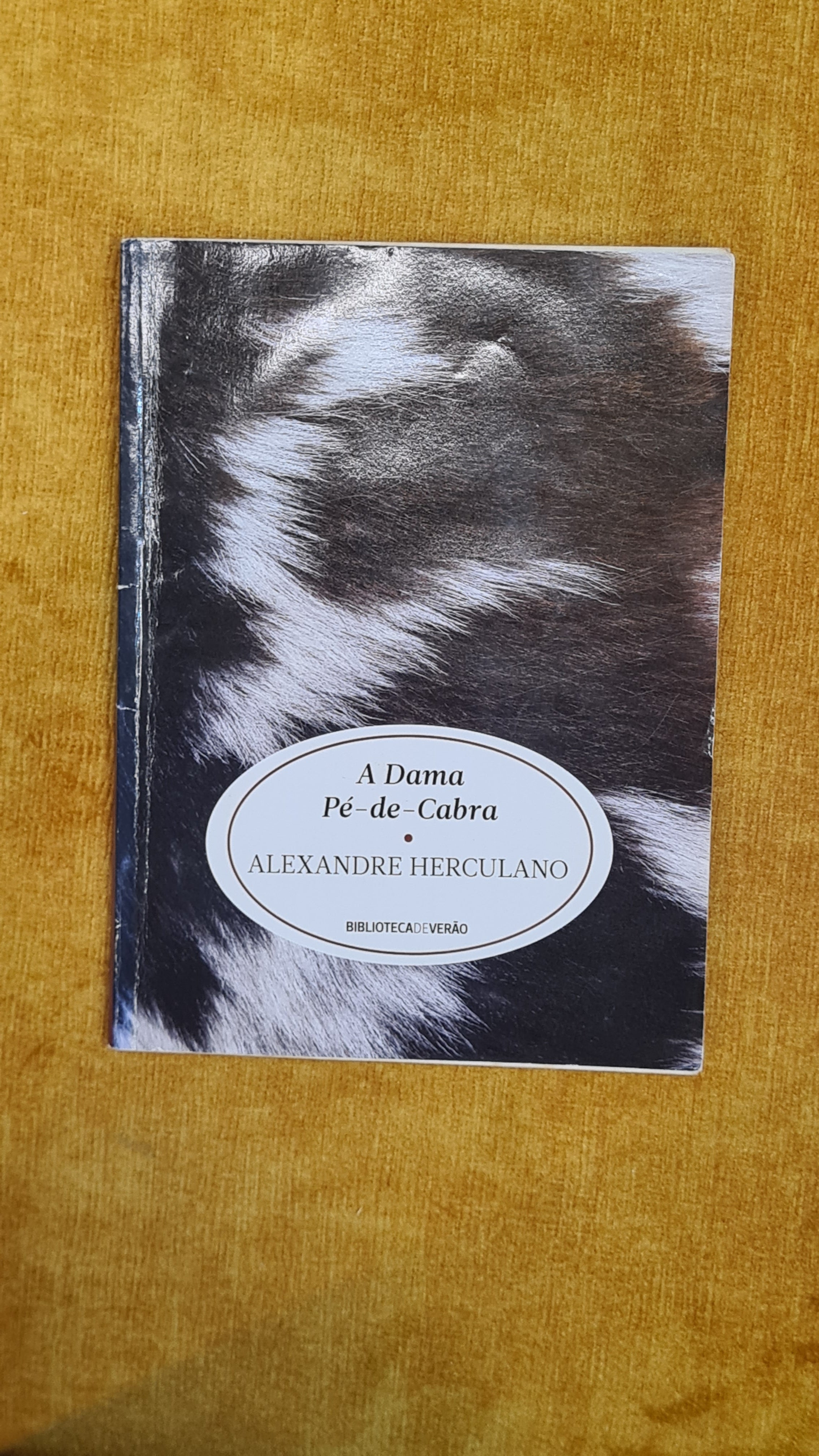 The Goat-Foot Lady - Summer Library 14