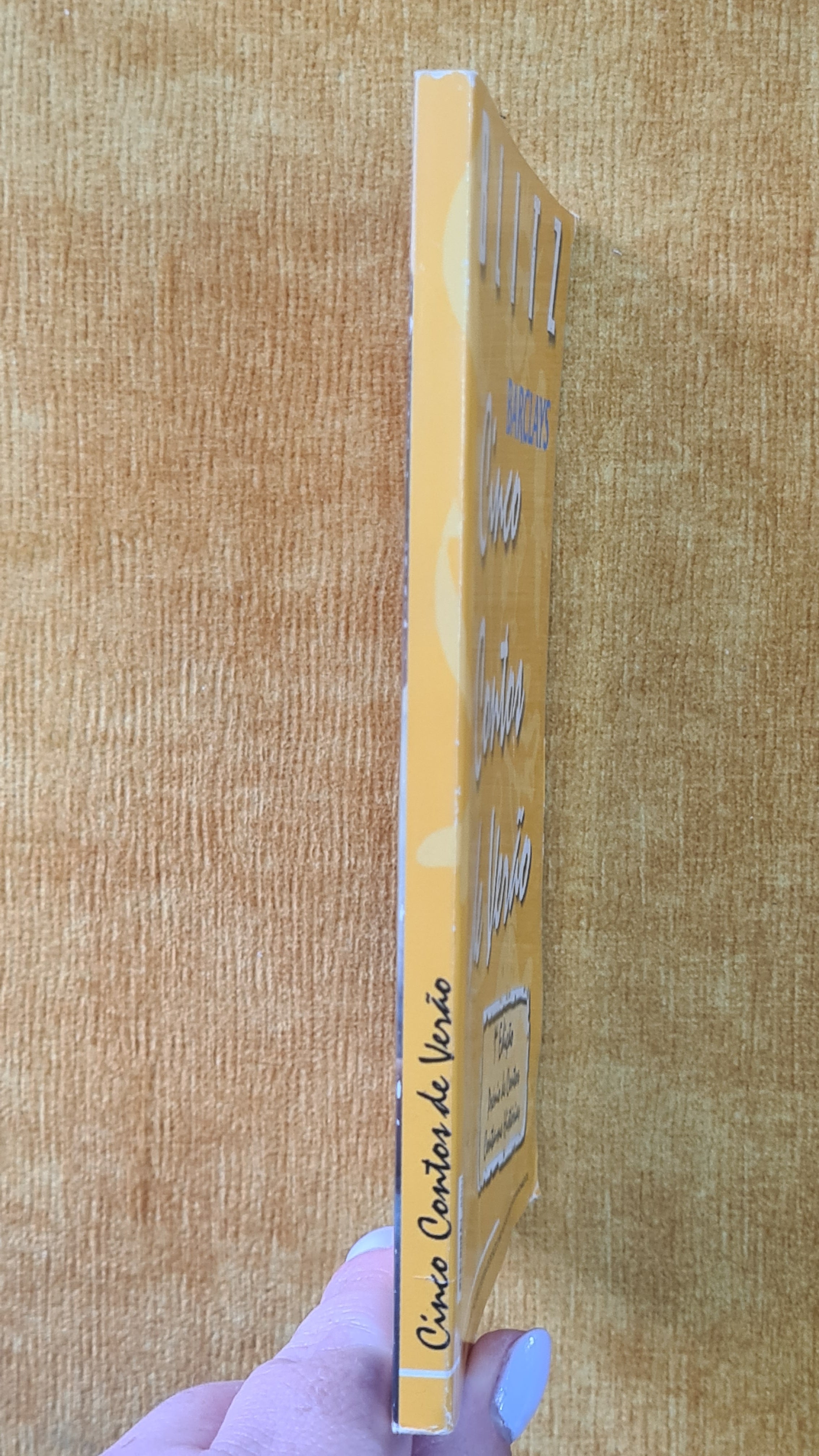 Cinco contos de verão