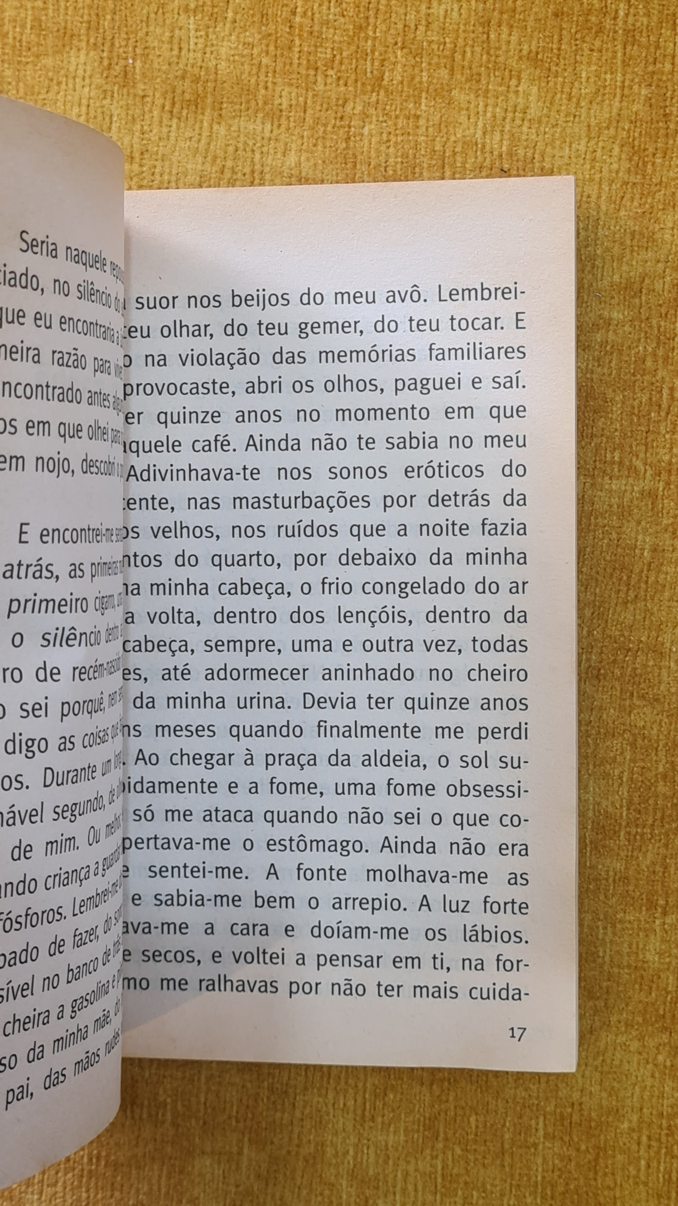 Cinco contos de verão