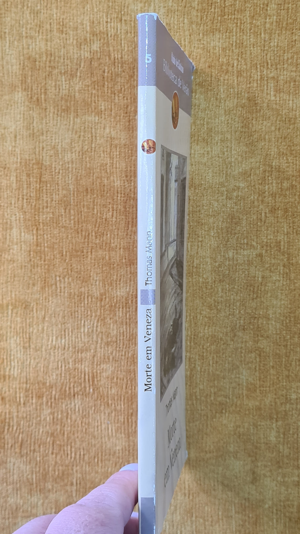 Death in Venice - Summer Library 5