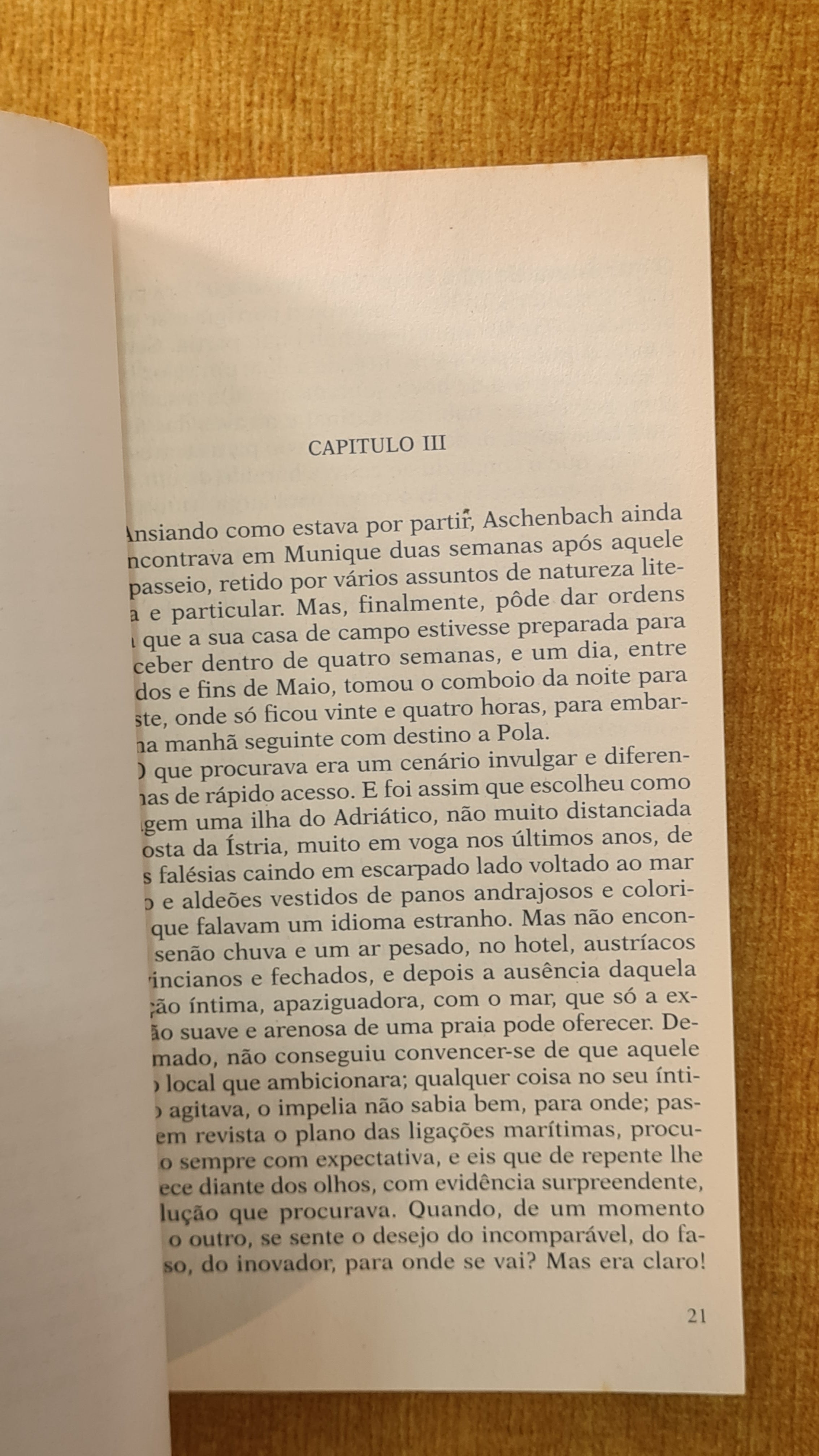 Death in Venice - Summer Library 5