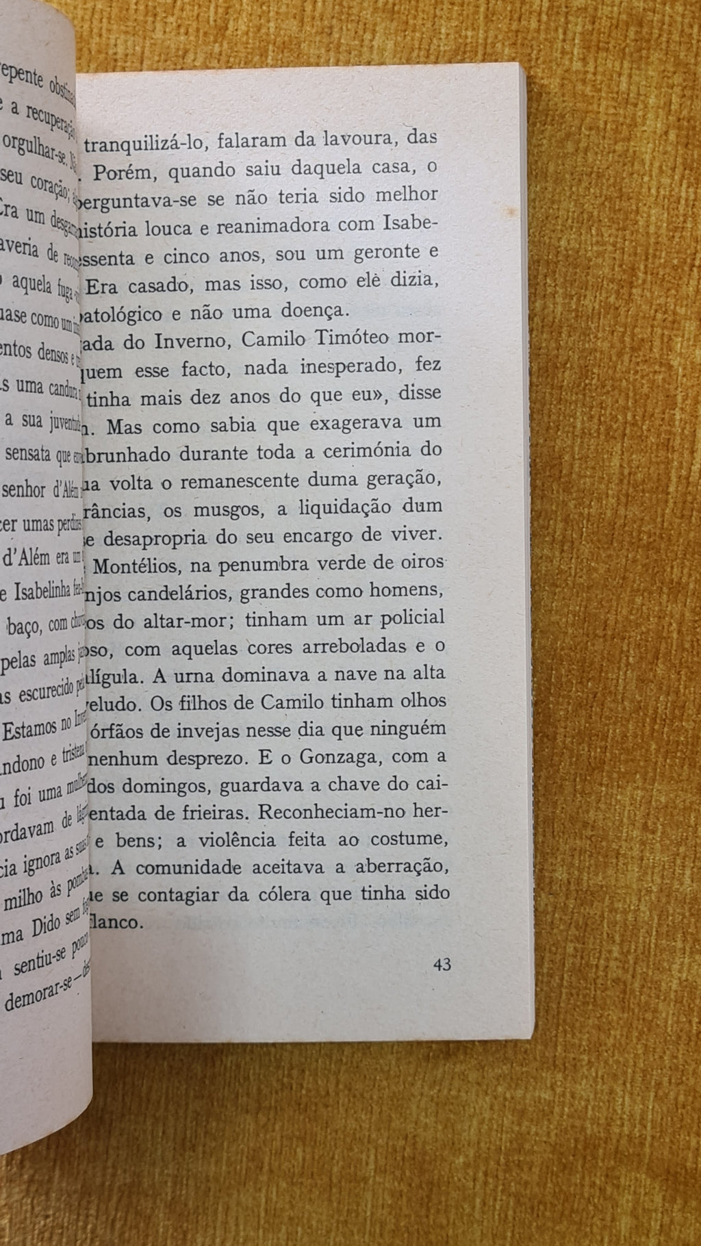 A brusca - RTP Books 30