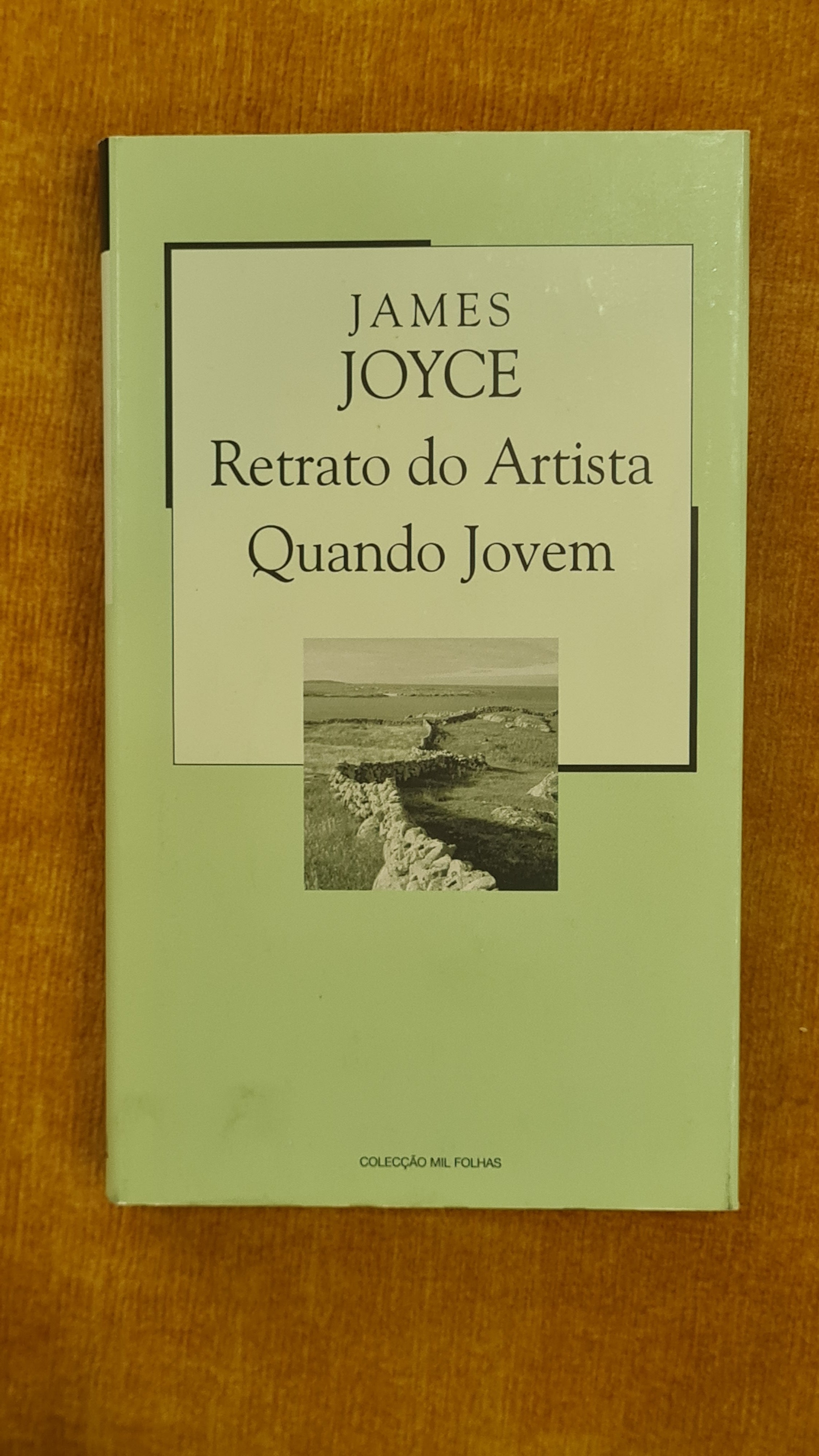 A Portrait of the Artist as a Young Man - Mil Folhas Collection 40