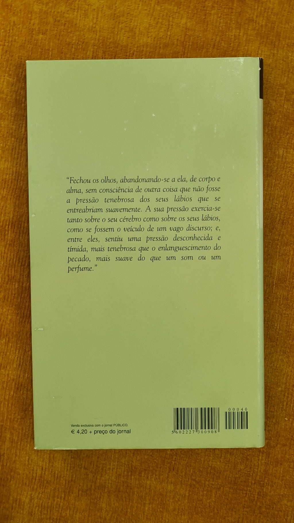 A Portrait of the Artist as a Young Man - Mil Folhas Collection 40