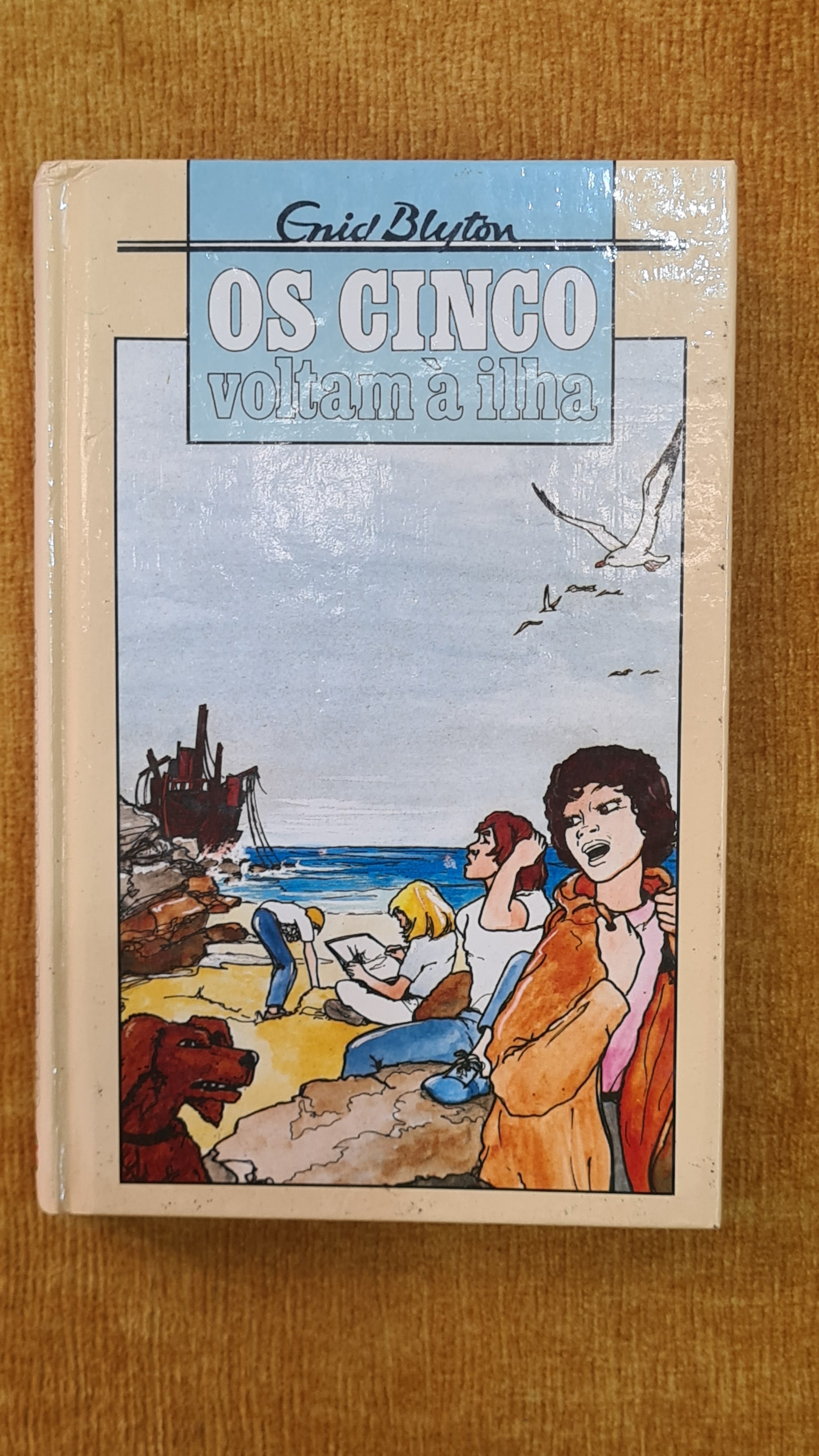 The Famous Five return to Kirrin Island again