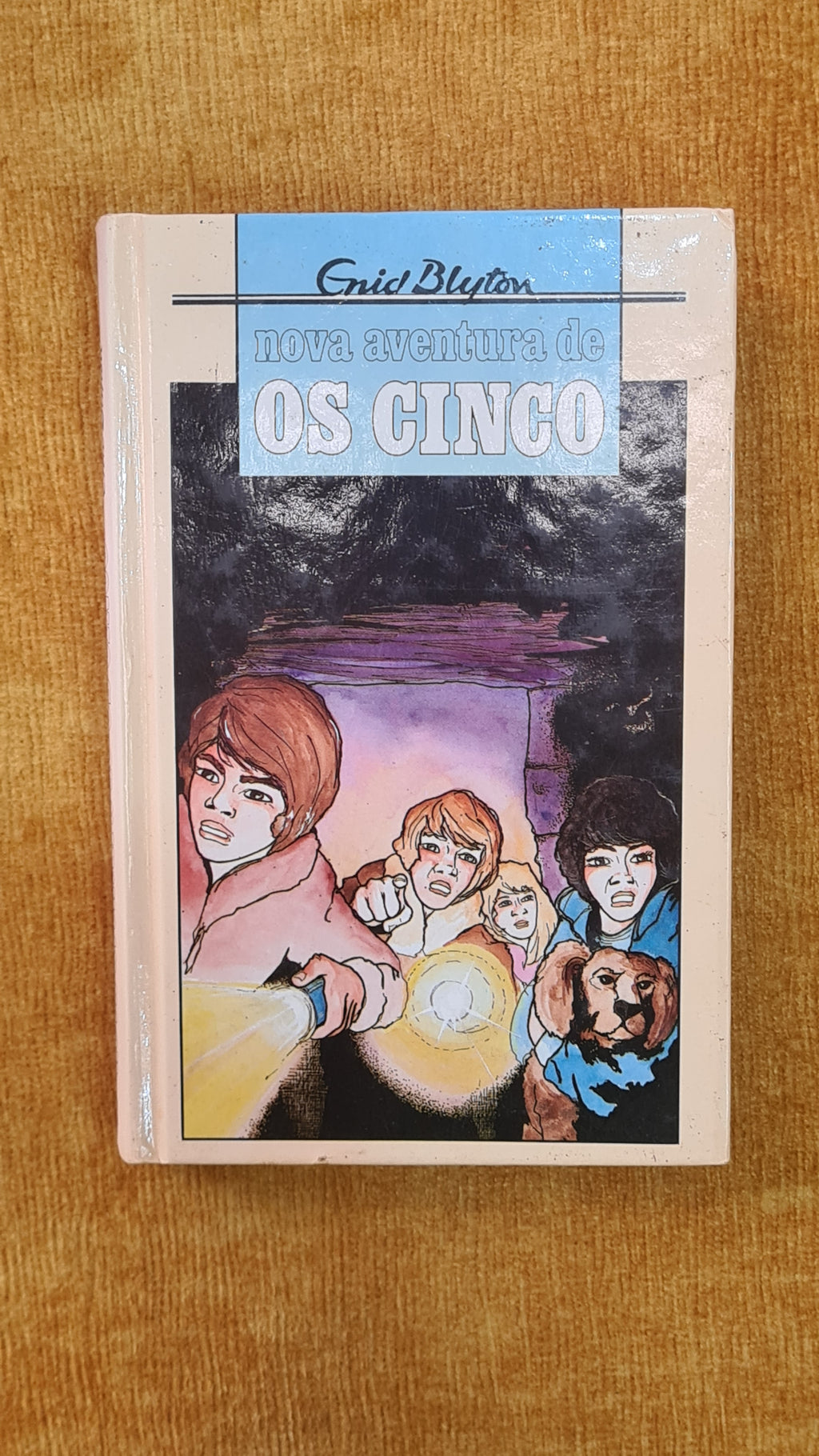 New adventure of The Famous Five 2