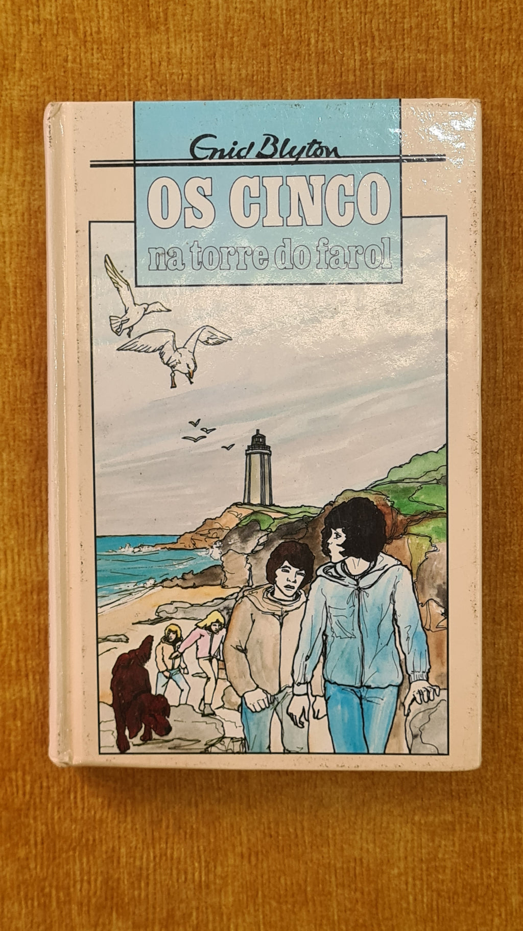 Five Go to Smuggler's Top