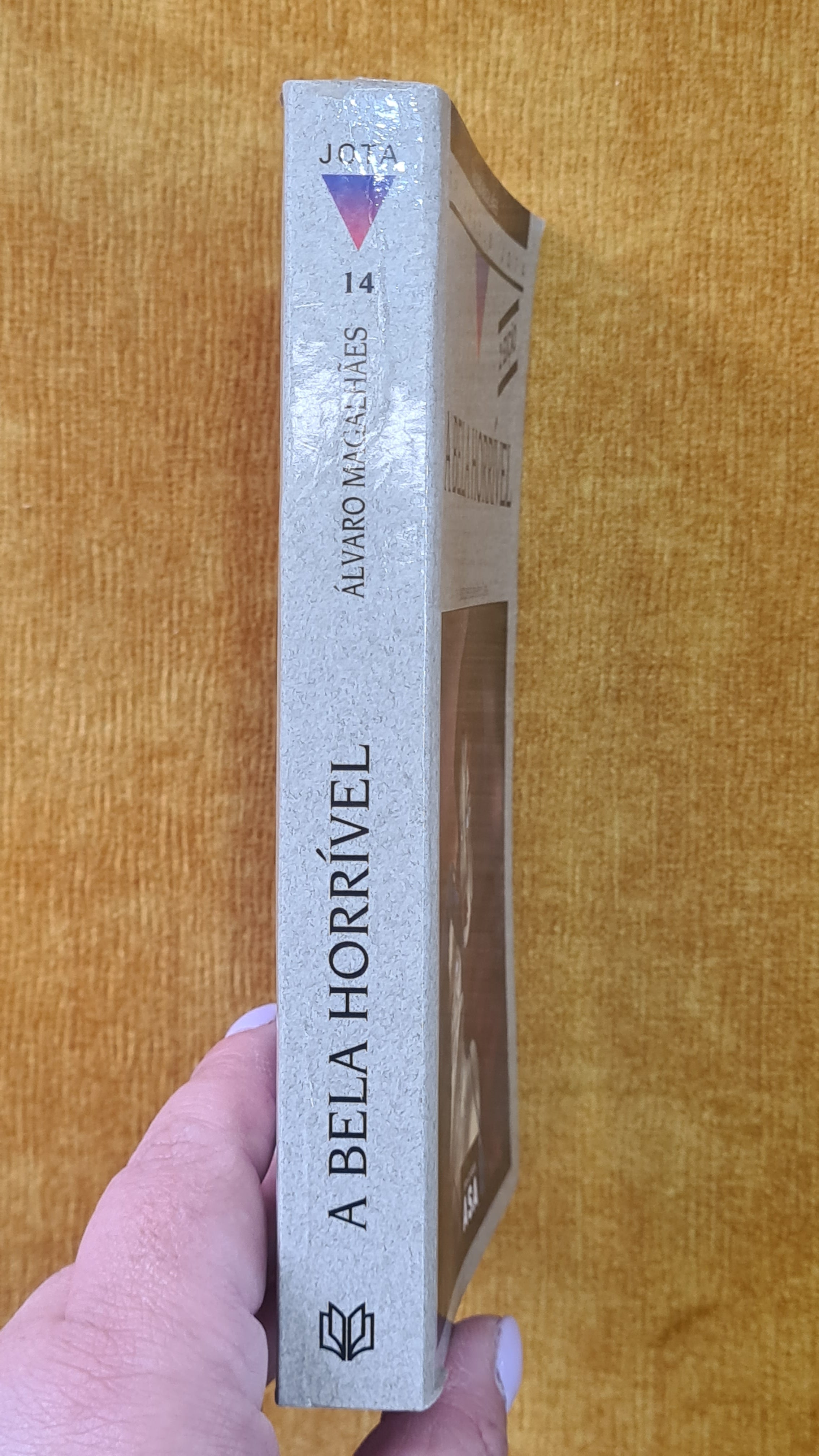 The Beautiful Horrible - Triangle Jota 14