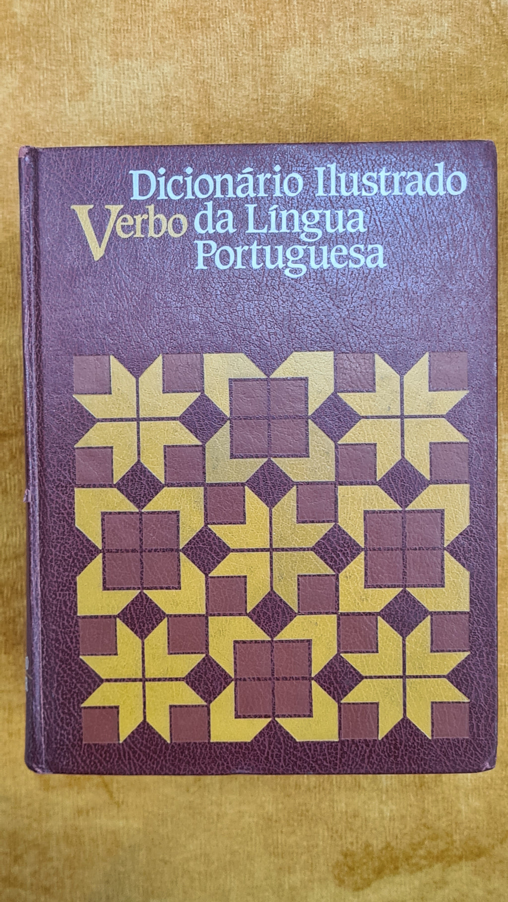 Dicionário Ilustrado da Língua Portuguesa